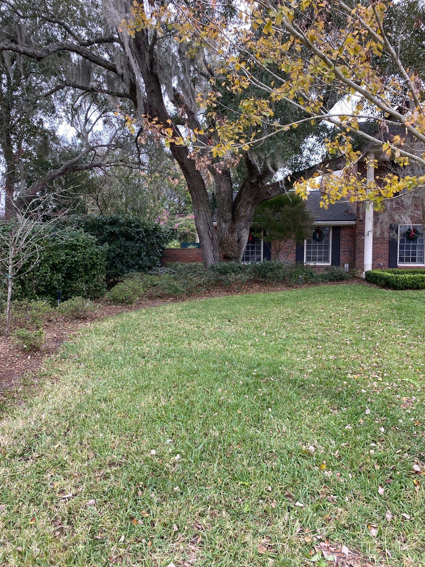Deerwood Resident | Extreme Cleanup by ProGreen Services