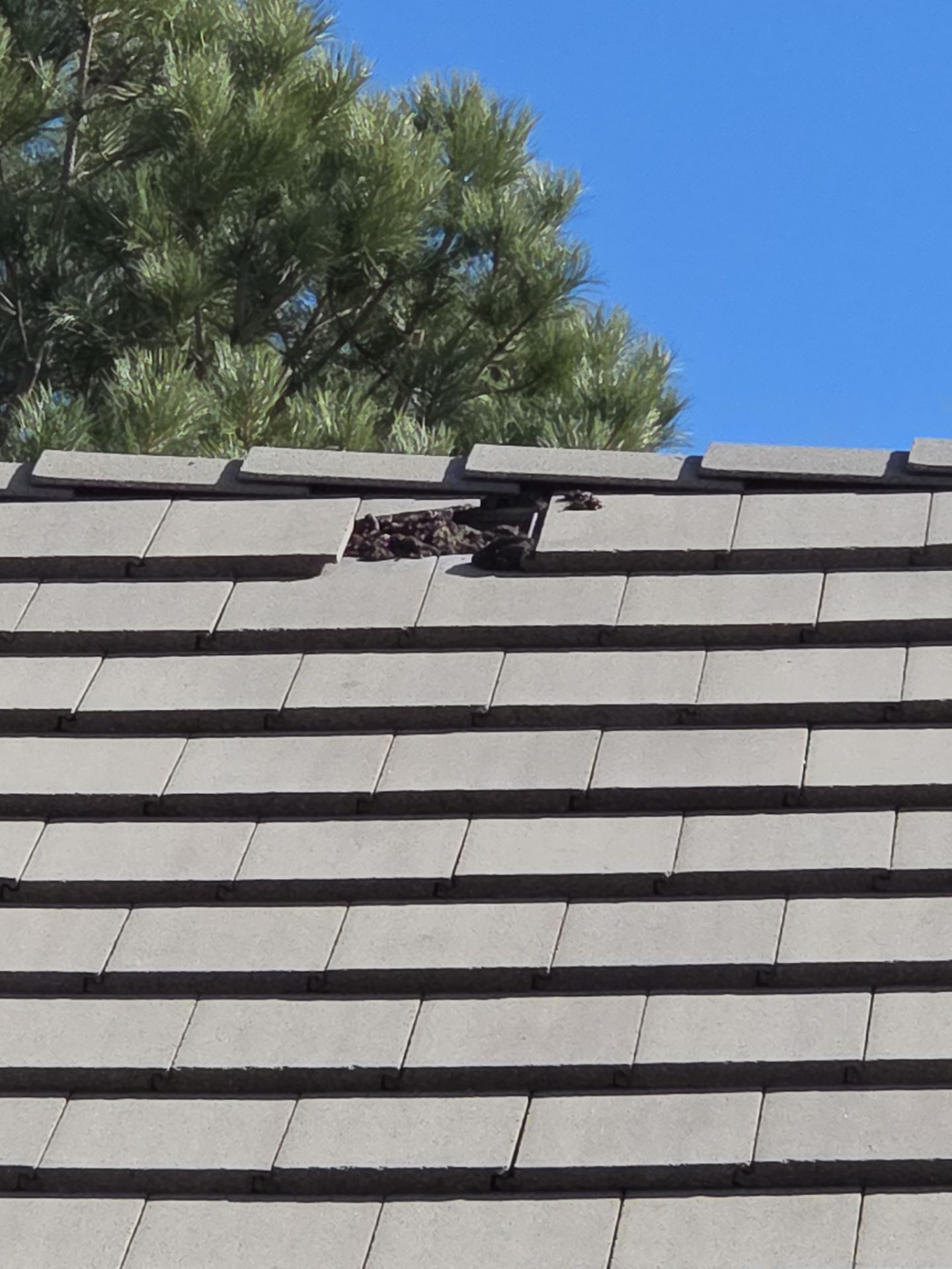 Roof Leak Repair by RTP Roofing Company