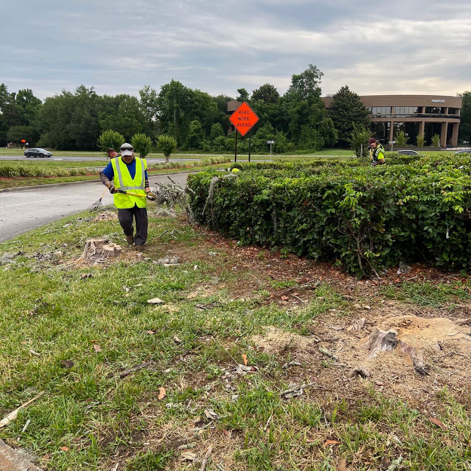 Tree Removal | Avenues Mall by ProGreen Services