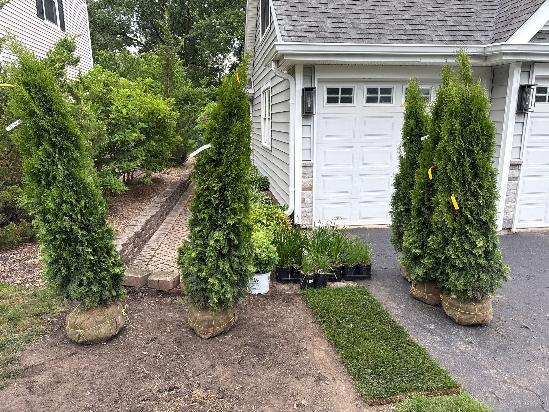 Anne P. - Arlington Heights, IL by A&N 
