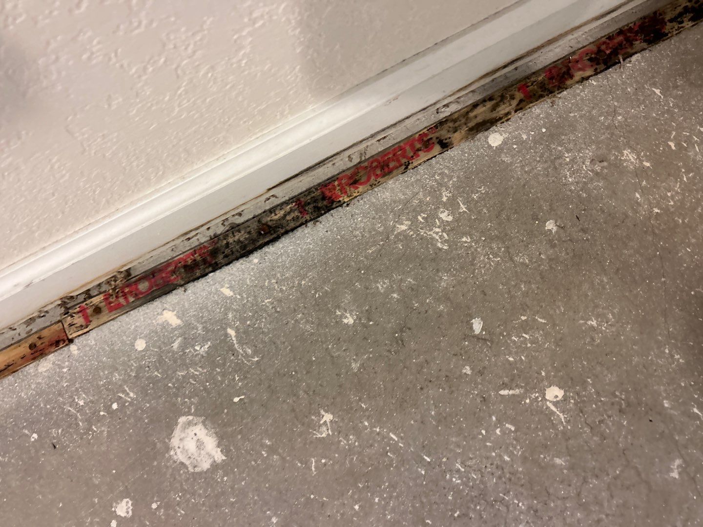 Mold Damage Project in Thornton by Accountable Home Services