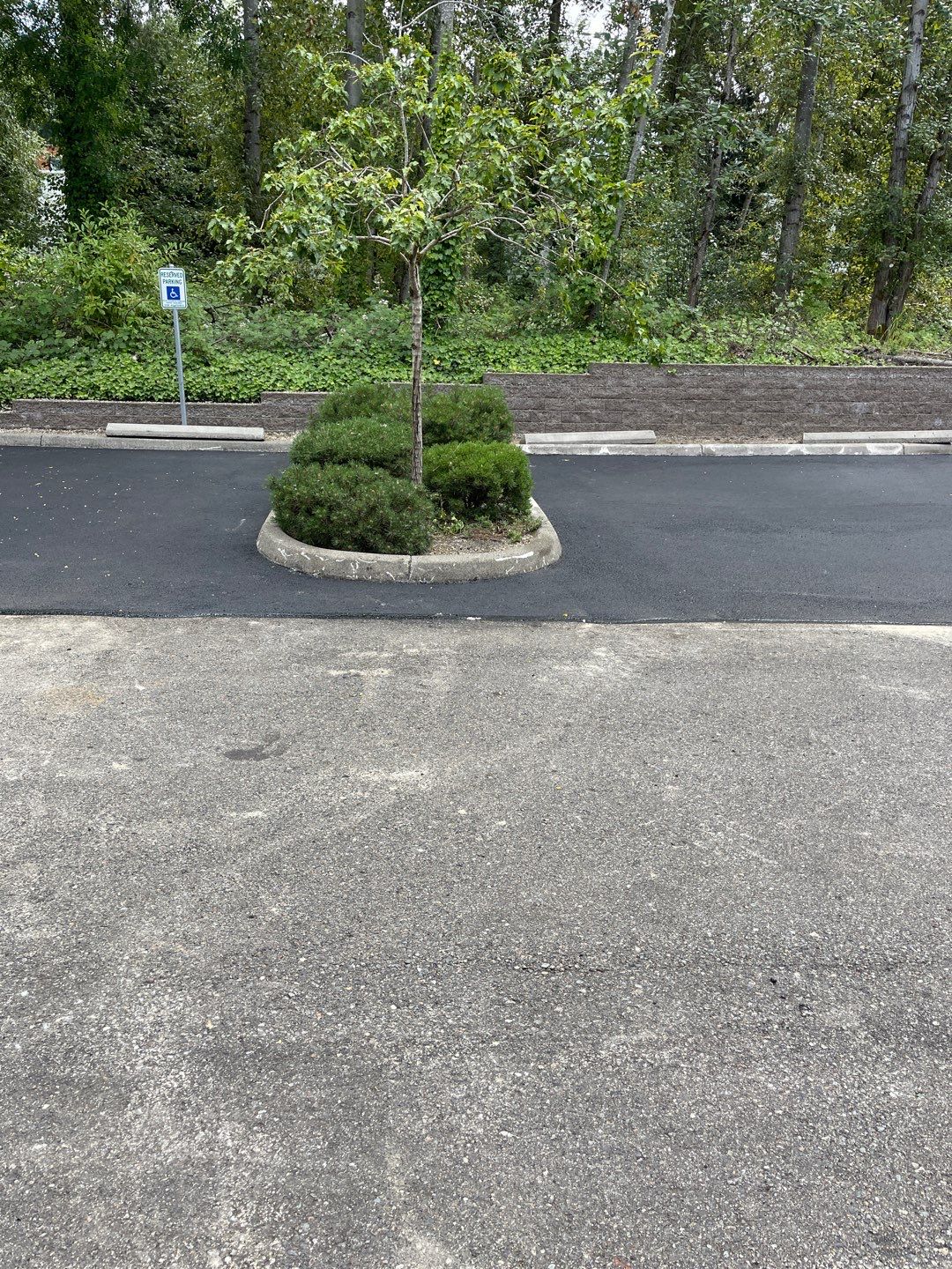 Asphalt Patch Repair & Concrete Curb Renovation | Kirkland  by Jireh Asphalt & Concrete Inc 