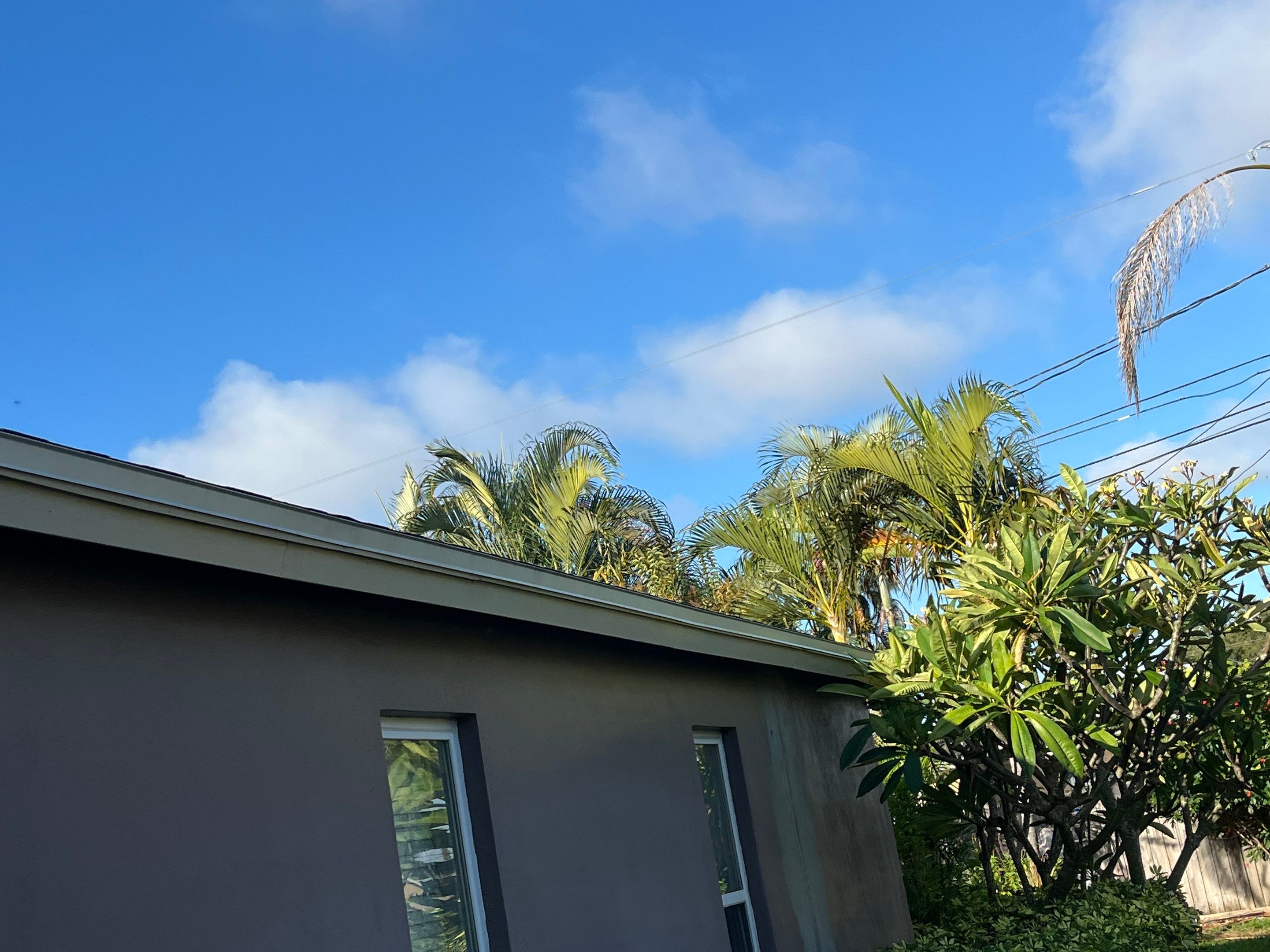 Project in St. Petersburg 33705 by Mitchell Roofing Company LLC