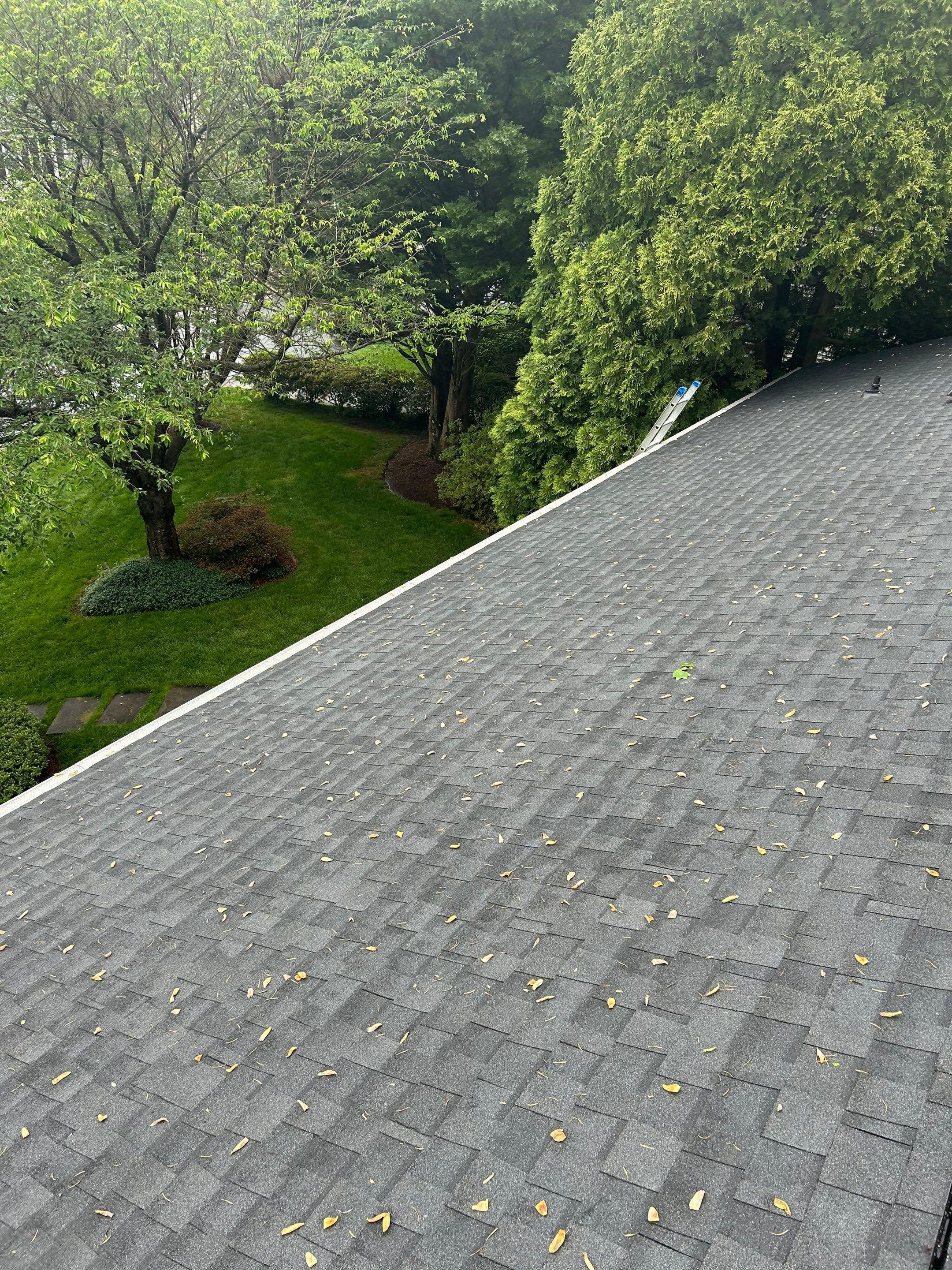 Burke: CertainTeed Landmark Designer Shingles in Moire Black by RM Banning, Inc.