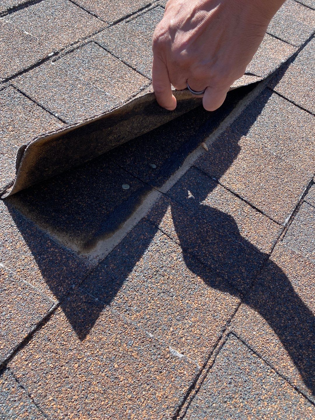 Sylvia's Full Re-roof by All Storm Roofing & Construction