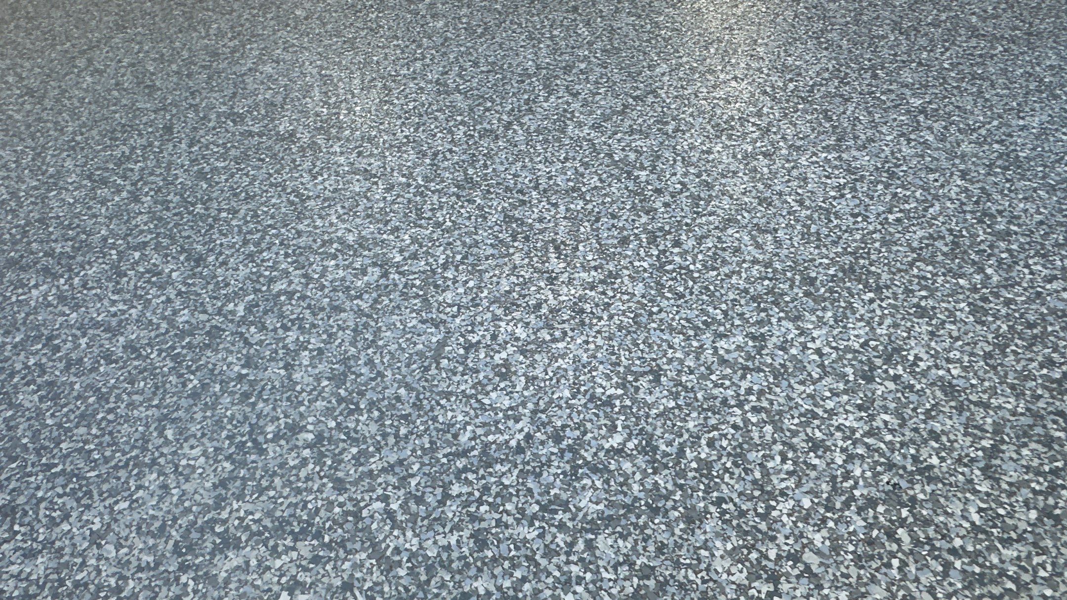 Check Out Anne's New Polar Floor by Banner Garage