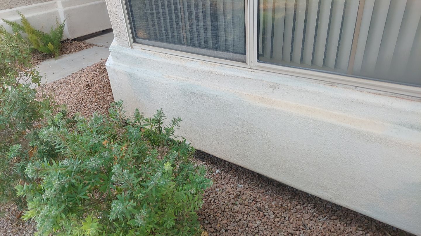 Exterior Painting - Gilbert by Crash of Rhinos Painting & Garage Floors