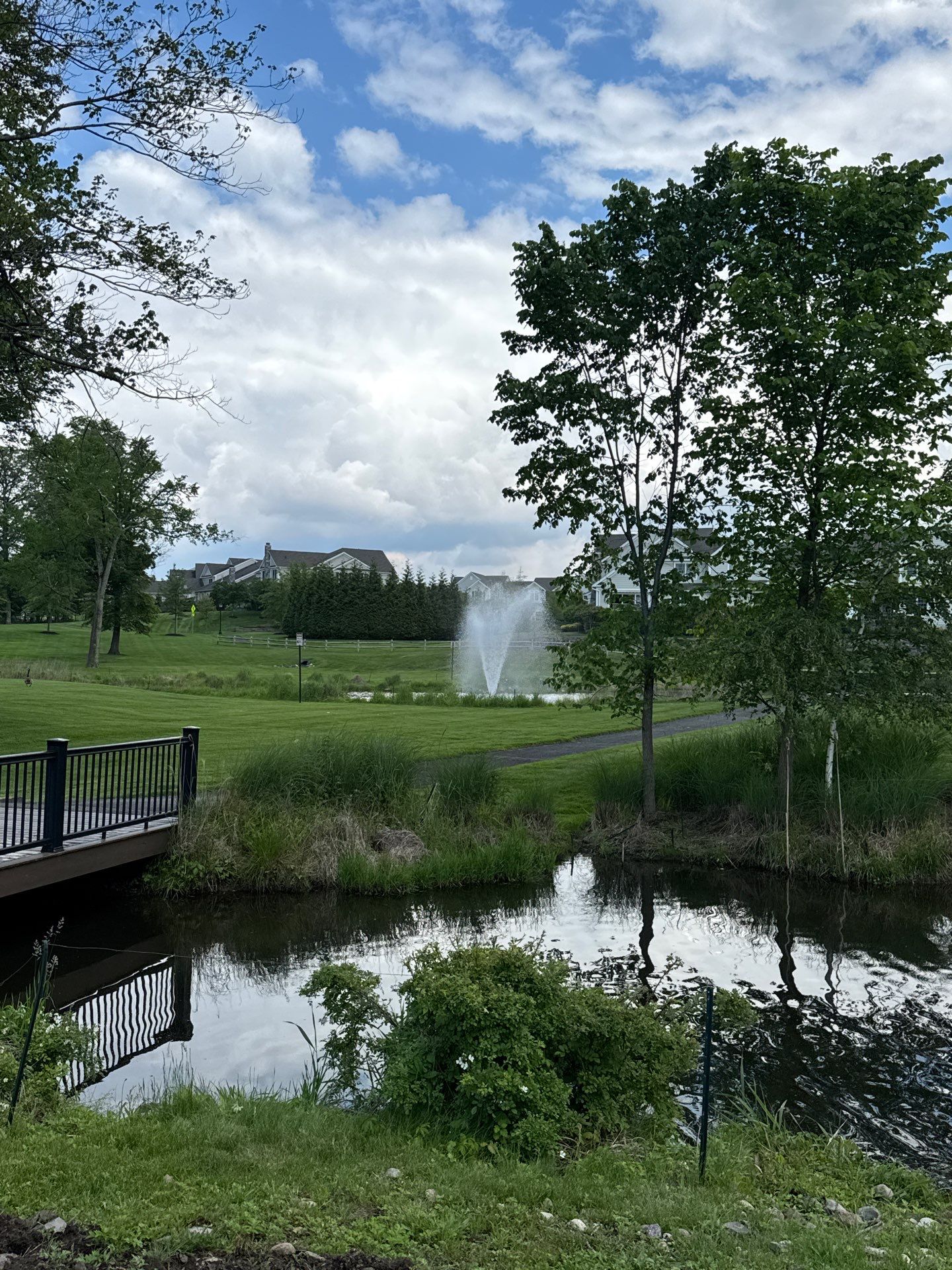 ZAM Installs Transformer for Outdoor Water Feature by ZAM Electric