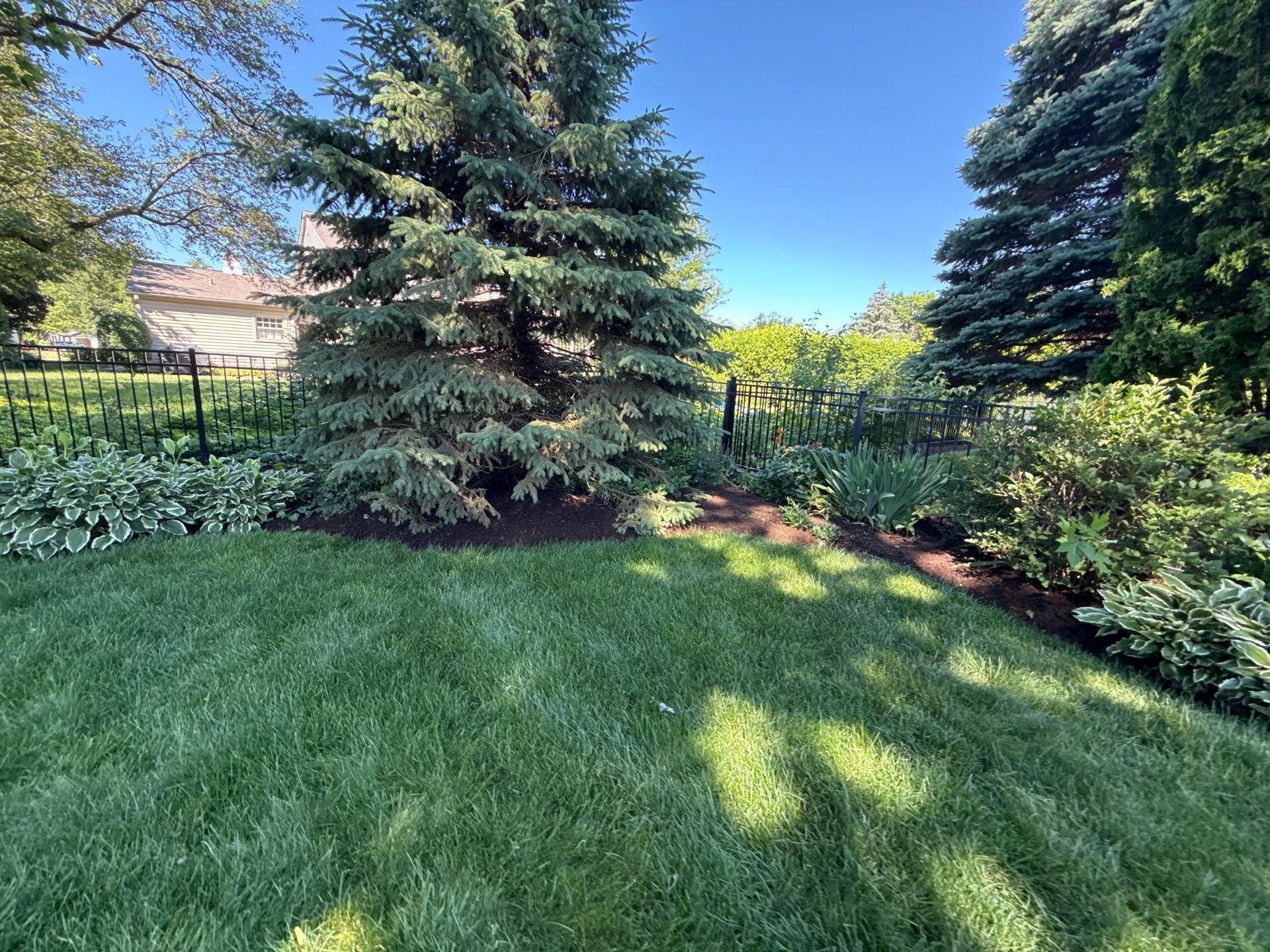Lesley D. - Arlington Heights, IL by A&N 