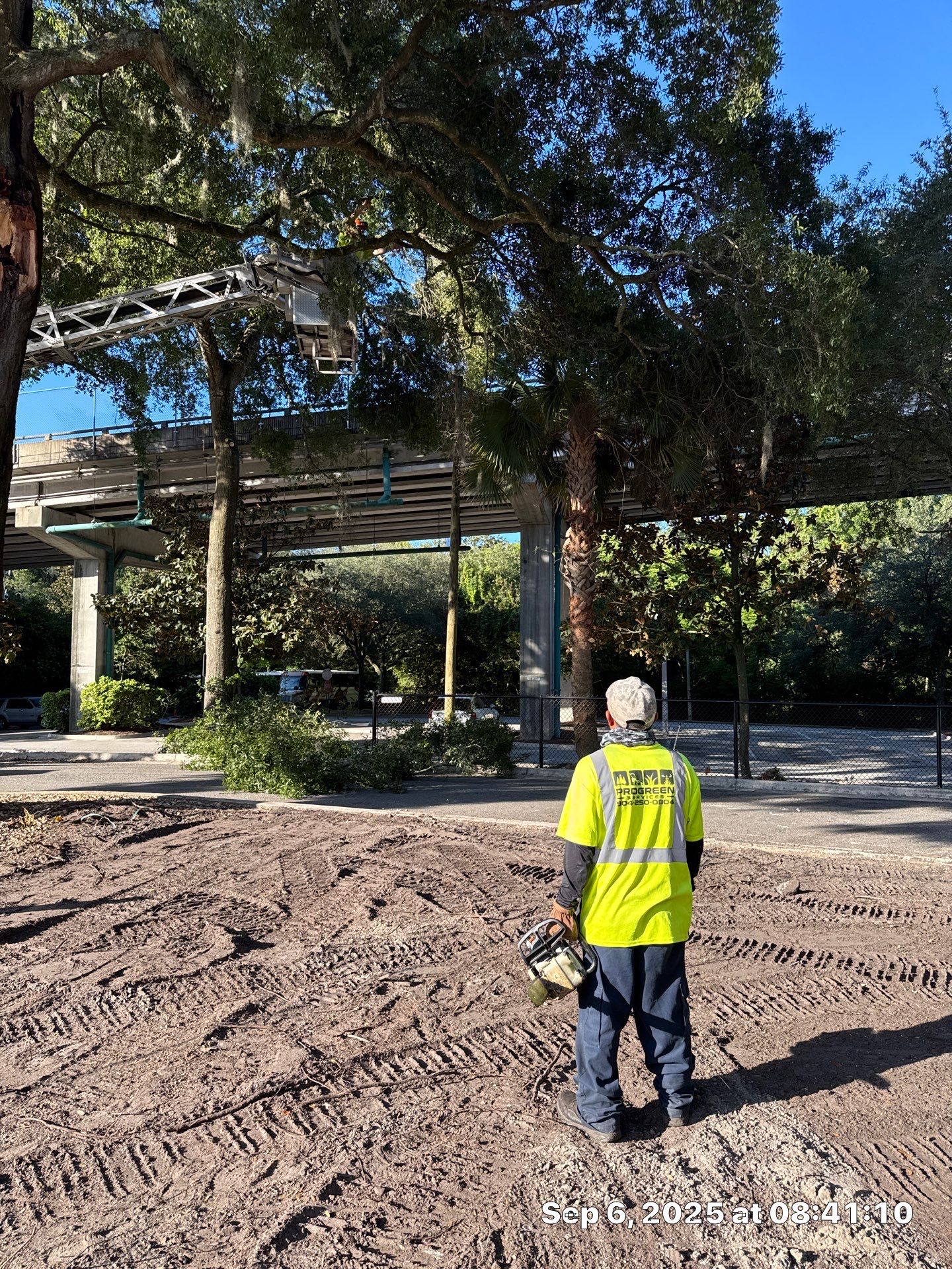 Welcome Center Tree Removal | Episcopal School of Jacksonville by ProGreen Services