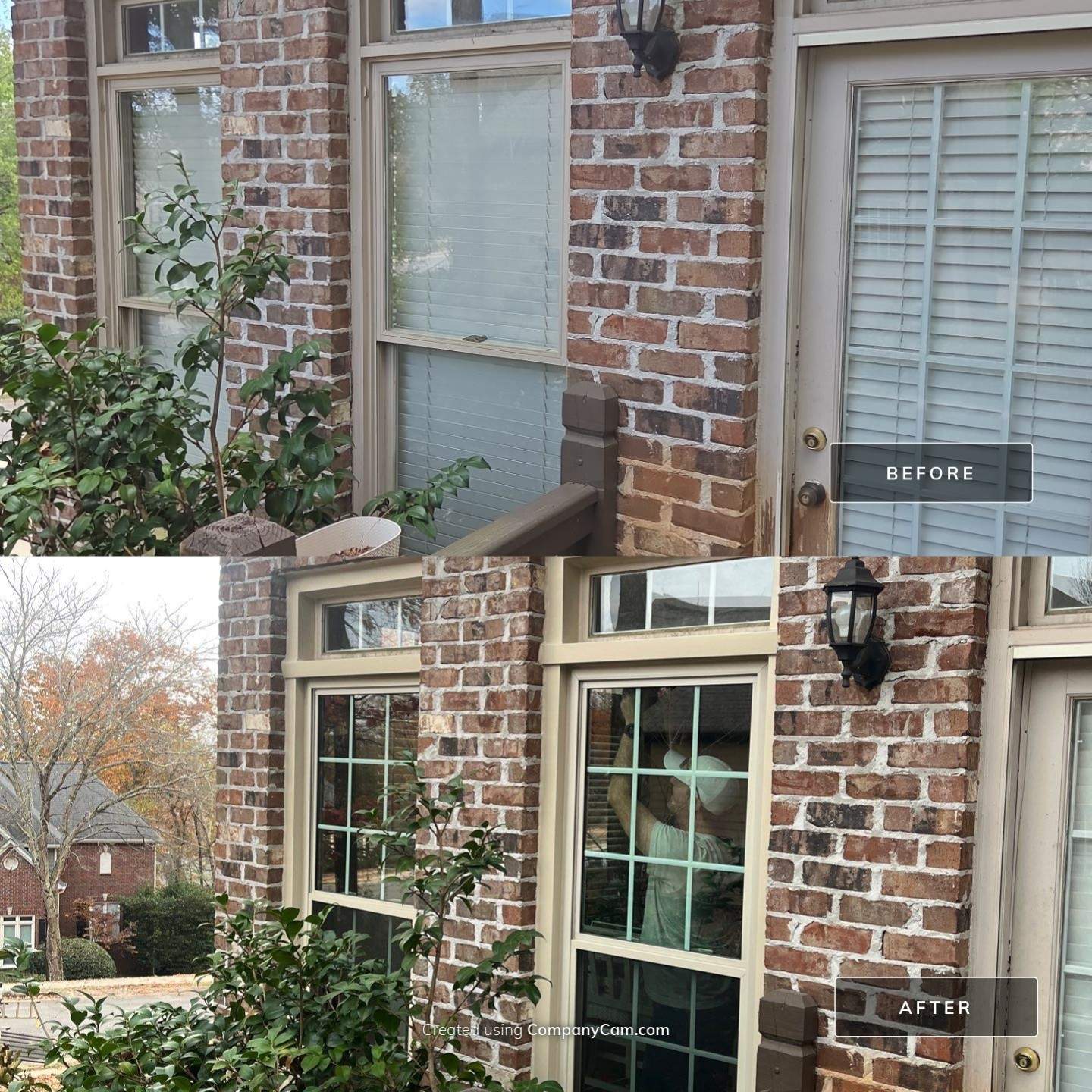 Dew Project in Hoover by The Window Source