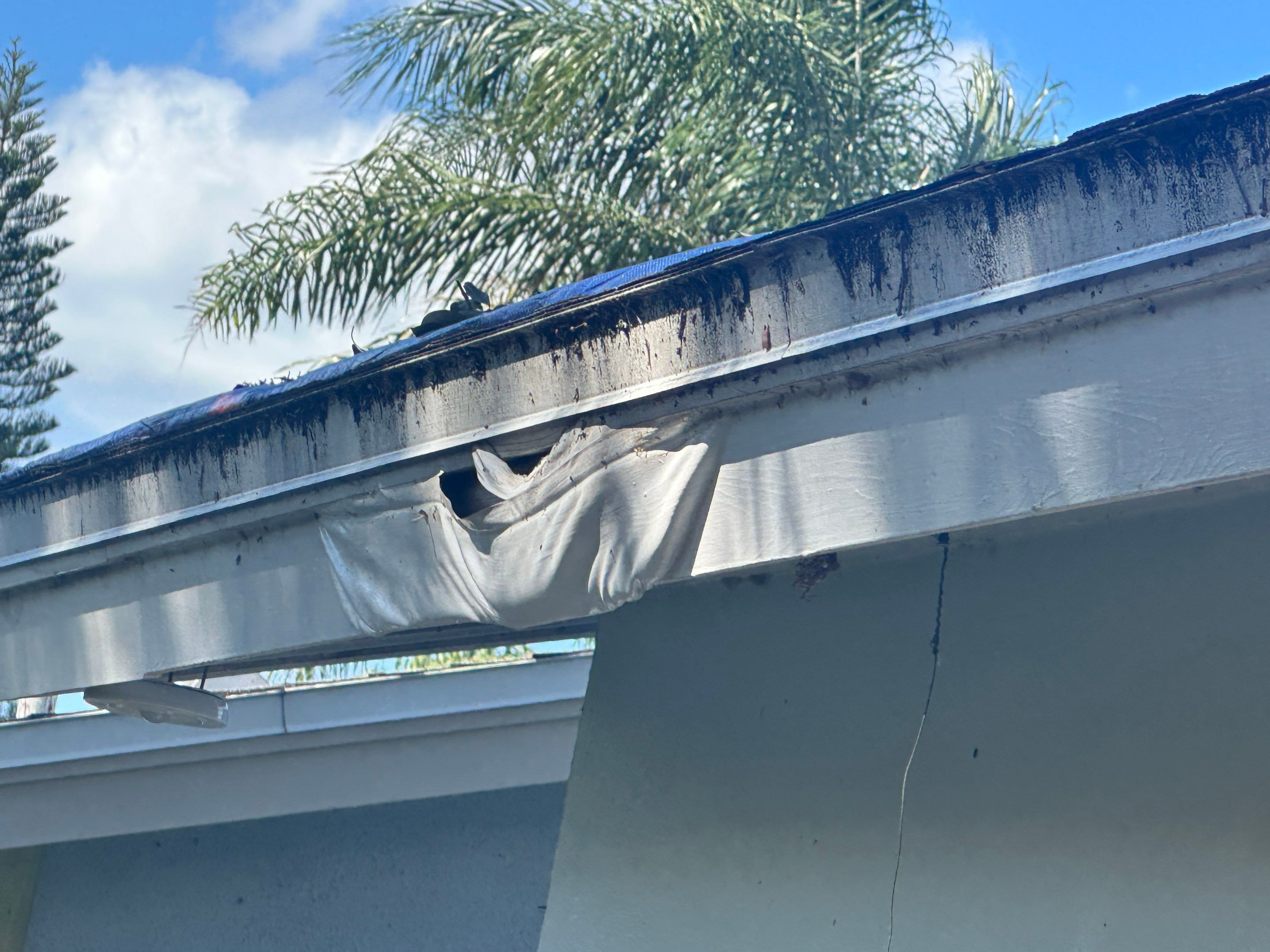 Water Damage Claim in Dunedin by FLAPA & KeyStone