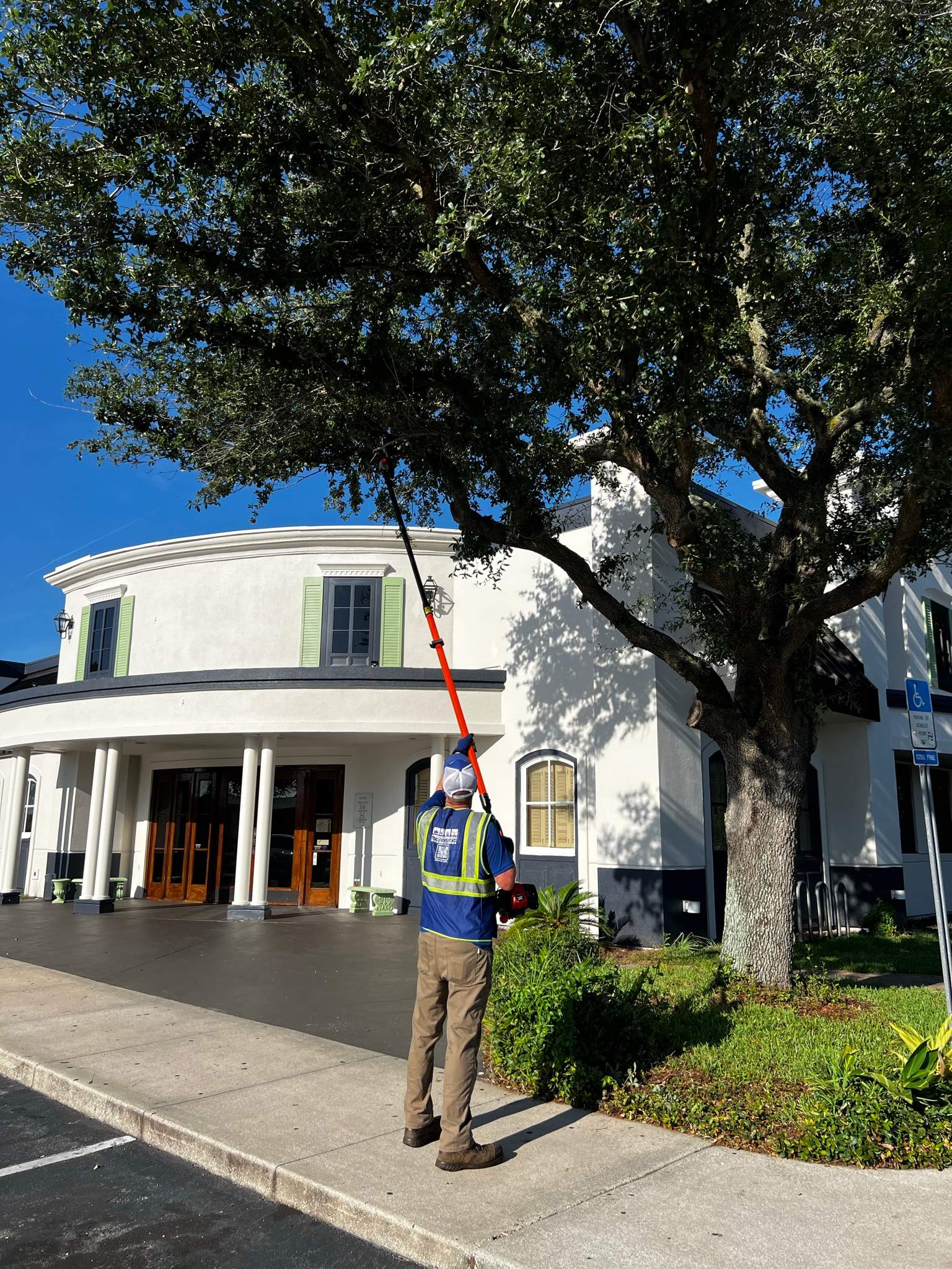 Tree Trimming | Copeland's Restaurant by ProGreen Services