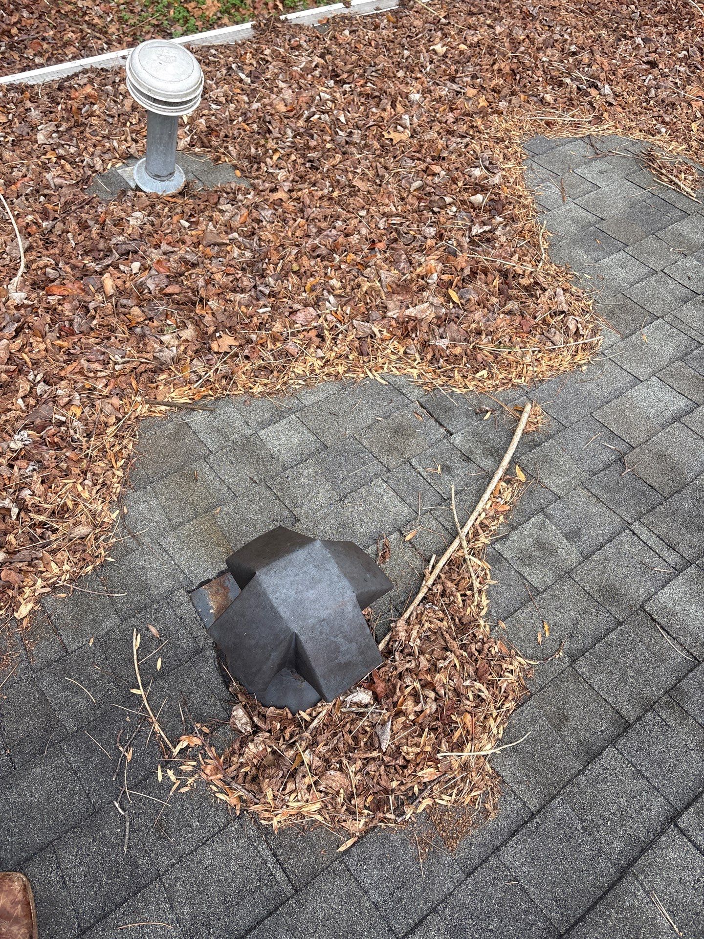 Clean Roof, Strong Home 🍂 by Georgia Roof Advisors