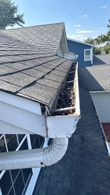 Turtle Shell gutter protection installation in Naperville, IL 60565, photograph 7