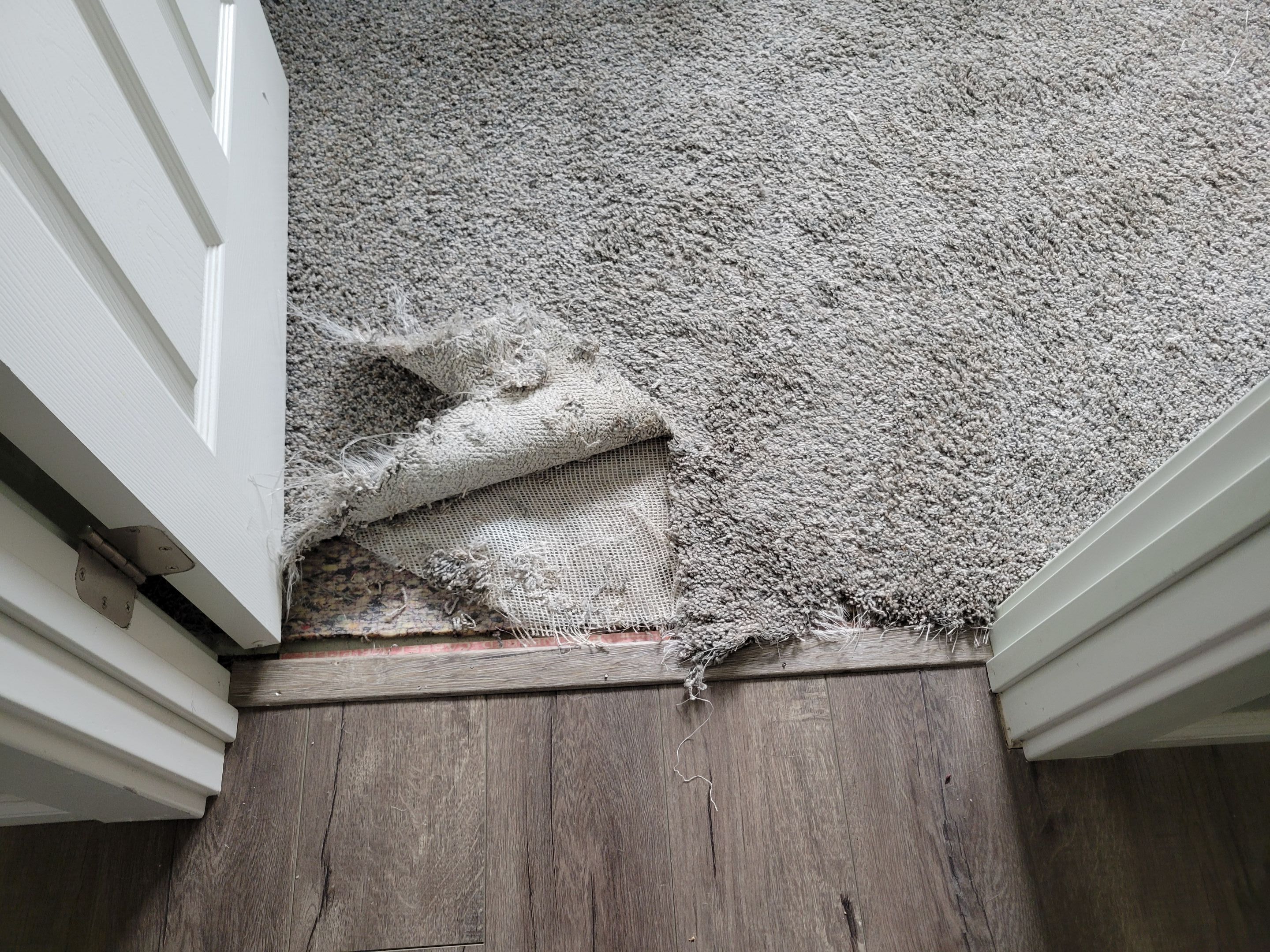 Carpet Repair, Dog Damage in West Sac by Ardent Carpet Restore LLC