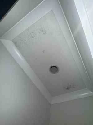 Project in Thompson's Station