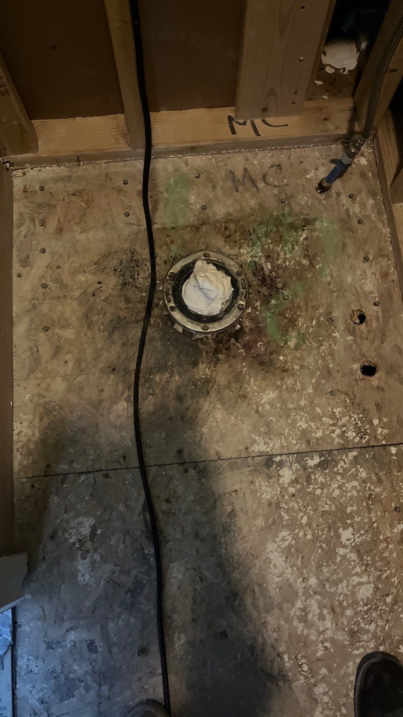 Mold Remediation by Accountable Home Services