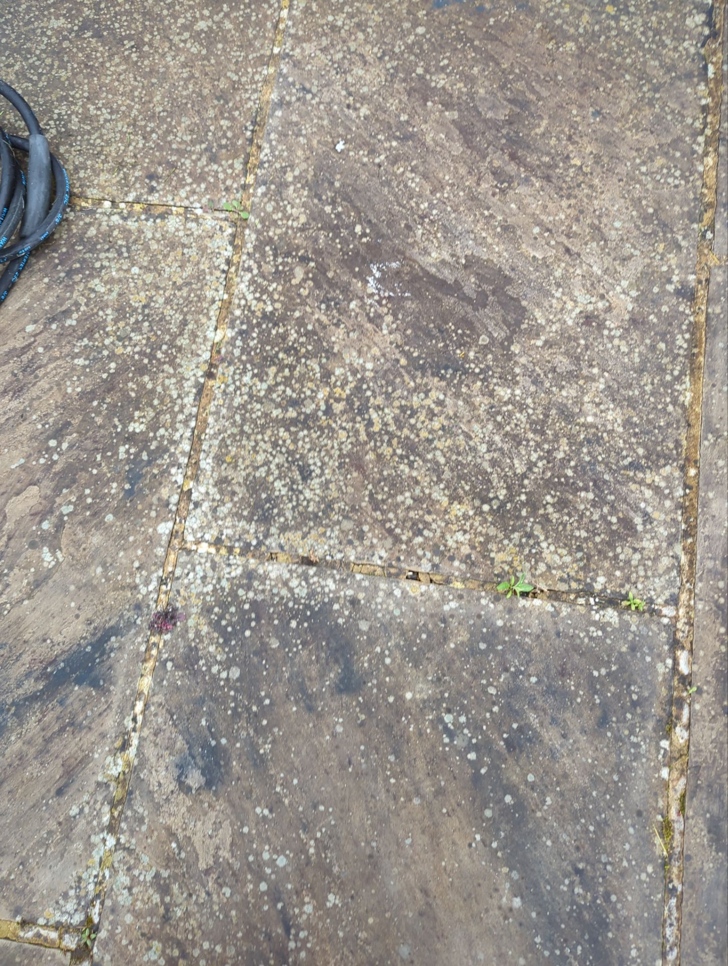 Patio Area Spring Clean using Mosmatic Flat Surface Cleaner by Ges Exterior Cleaning ltd