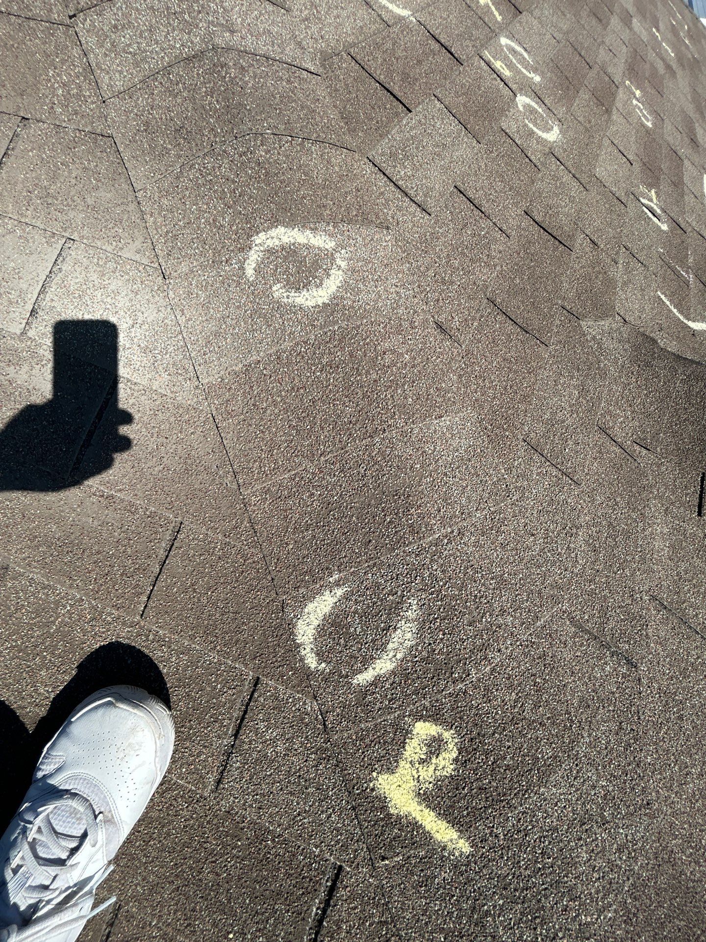 Miss Bridgette by REPS OF TEXAS