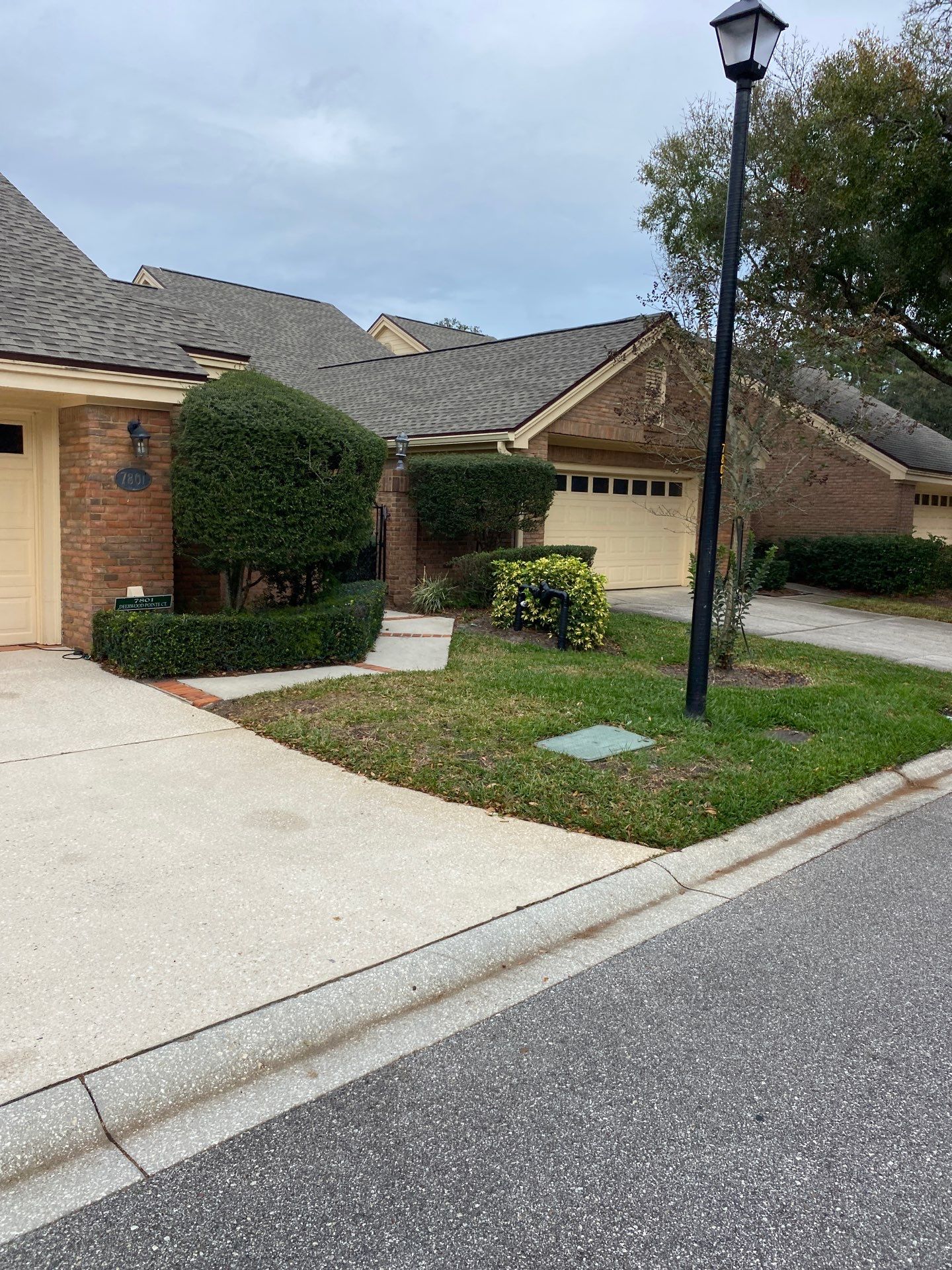 Deerwood Pointe | Tree Removal & Pine Straw Installation by ProGreen Services