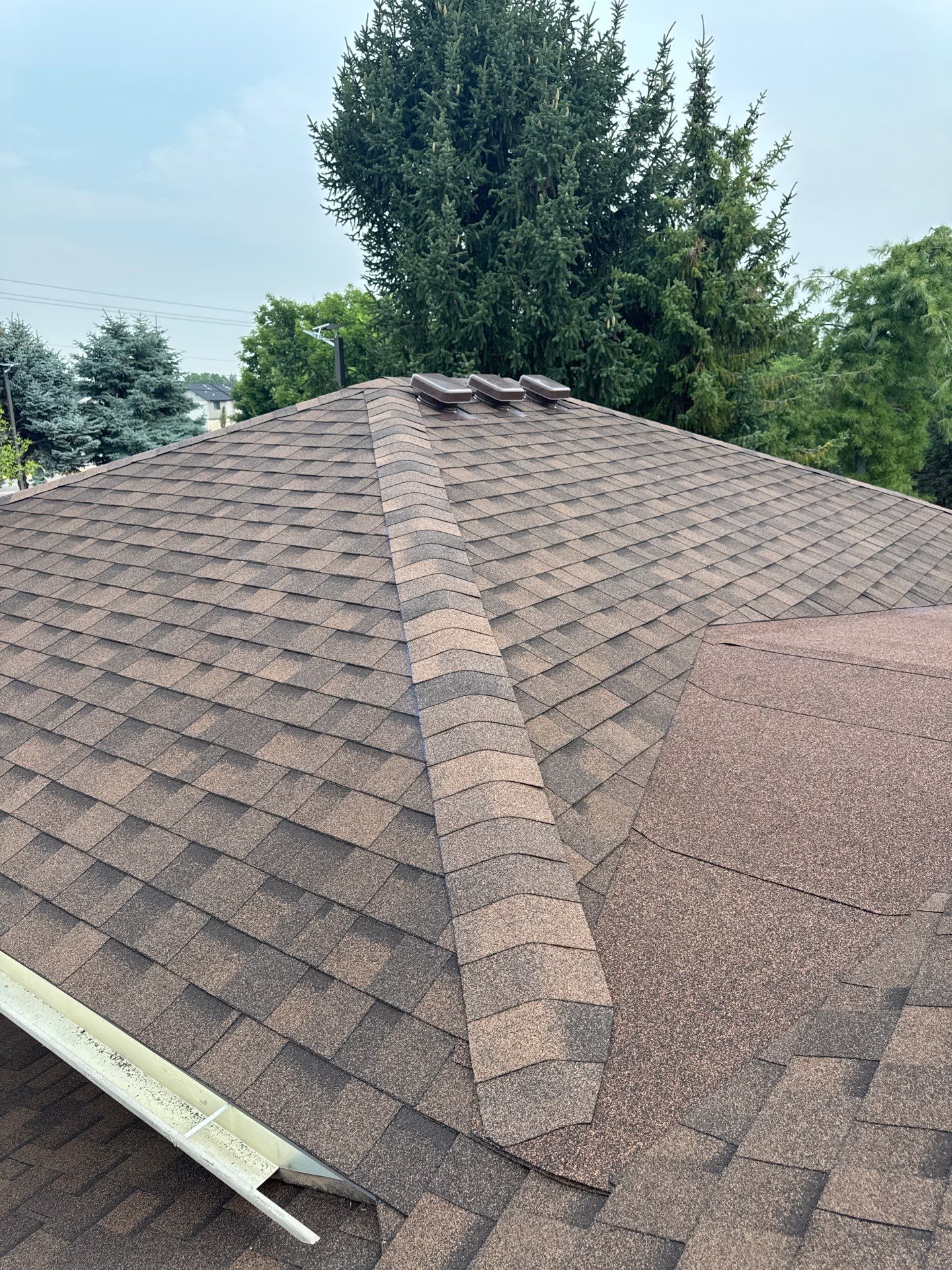 Boise Commercial Roof Replacement with Brown Architectural Shingles by Olive Roofing