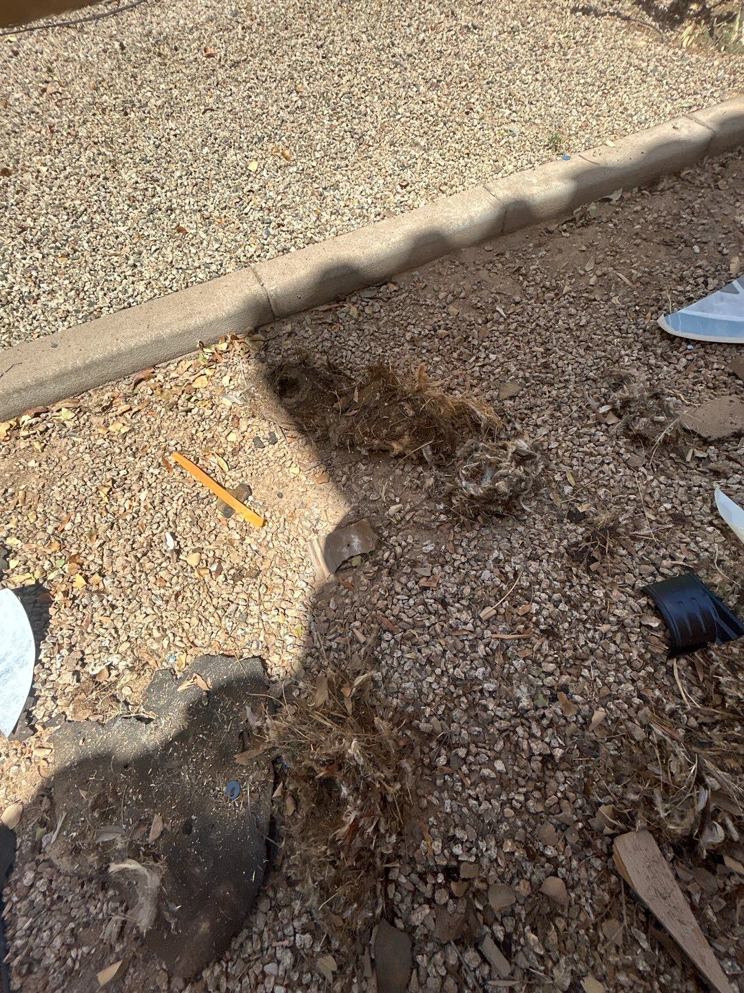Project in Queen Creek, AZ by Saint Roofing