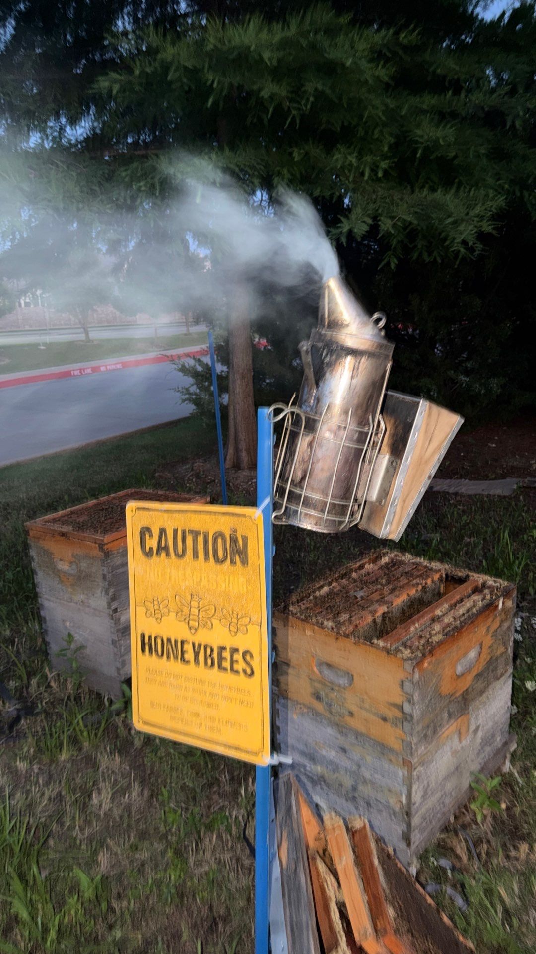 Bees by the Lot by Rockwall Honey Bee Company