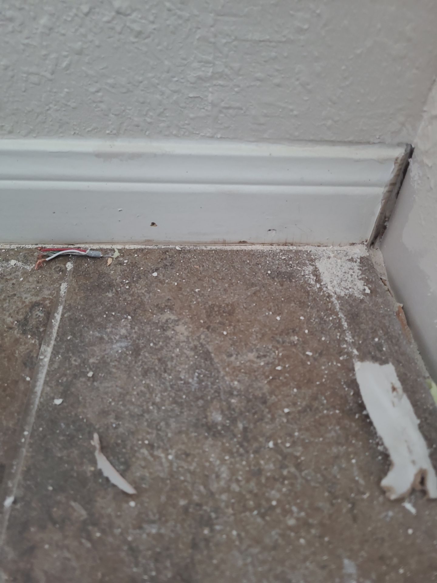 The Gillespie Family by SophAlx LLC