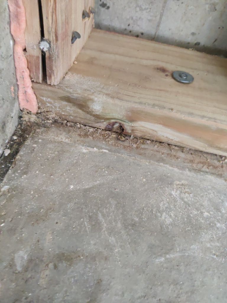 Mold Remediation in Garage by Accountable Home Services