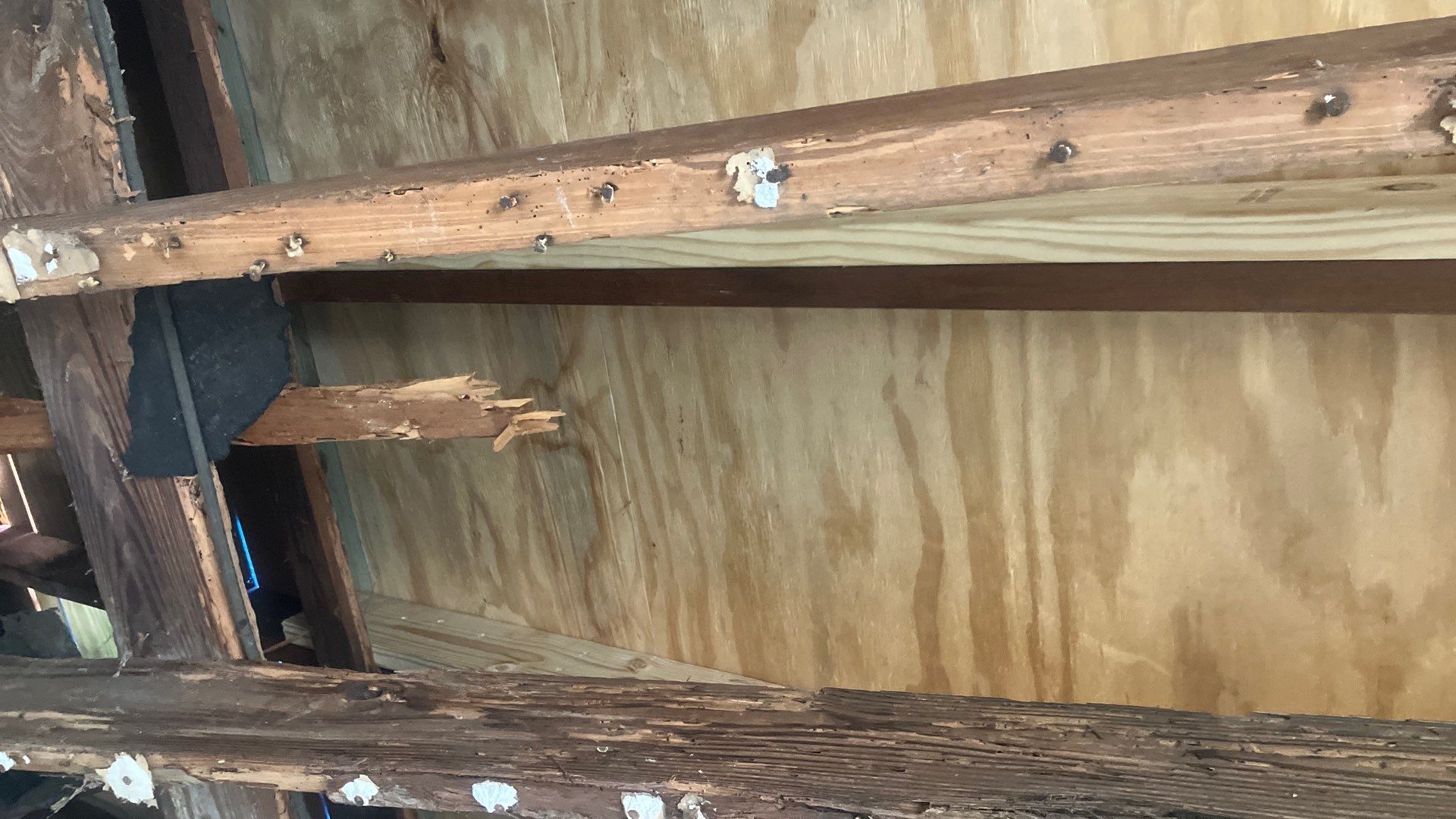 Project in St. Petersburg 33712 by Mitchell Roofing Company LLC