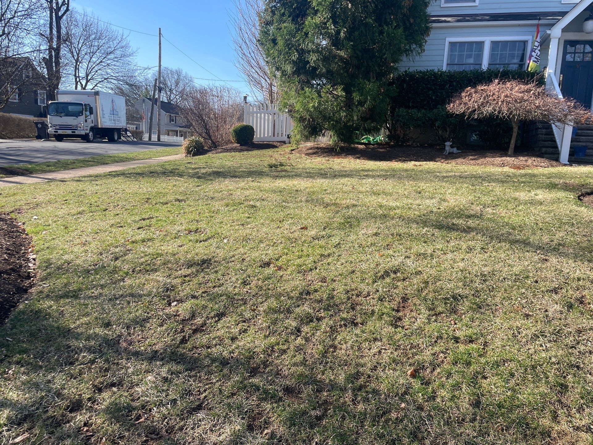Comprehensive Lawn Care and Aeration and Seeding in Chatham by Ants Plants