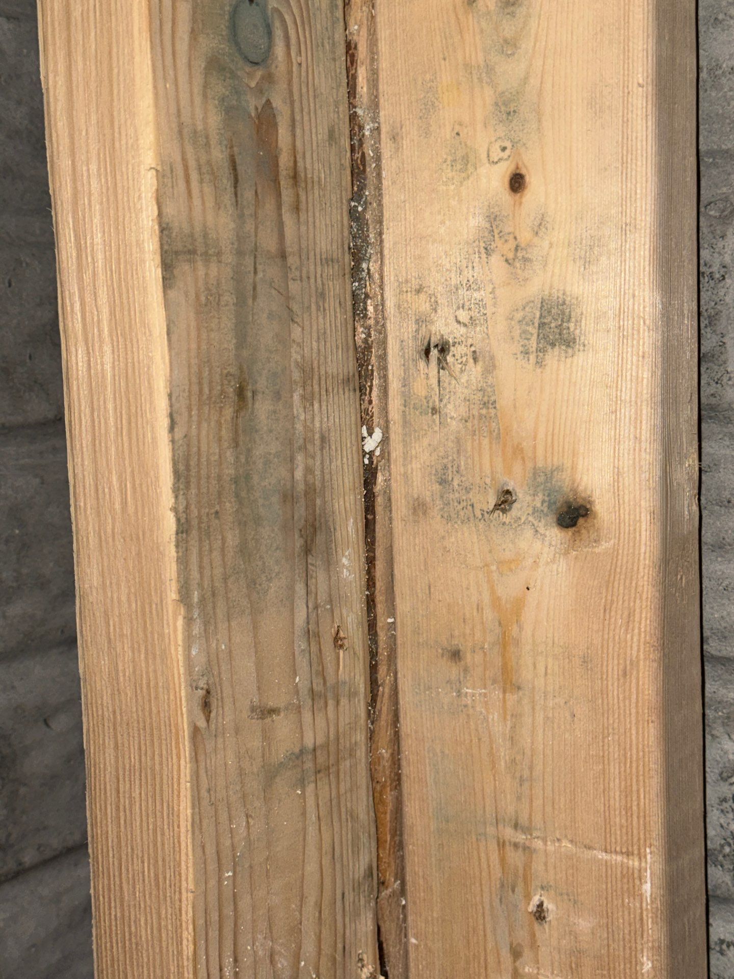 Mold Remediation in Lake Mills by Dry Source Property Restoration 