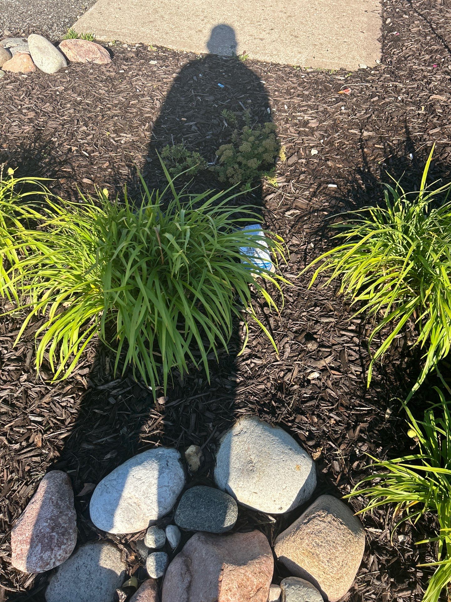 Custom Lawn QC visit  by Custom Lawn And Landscape
