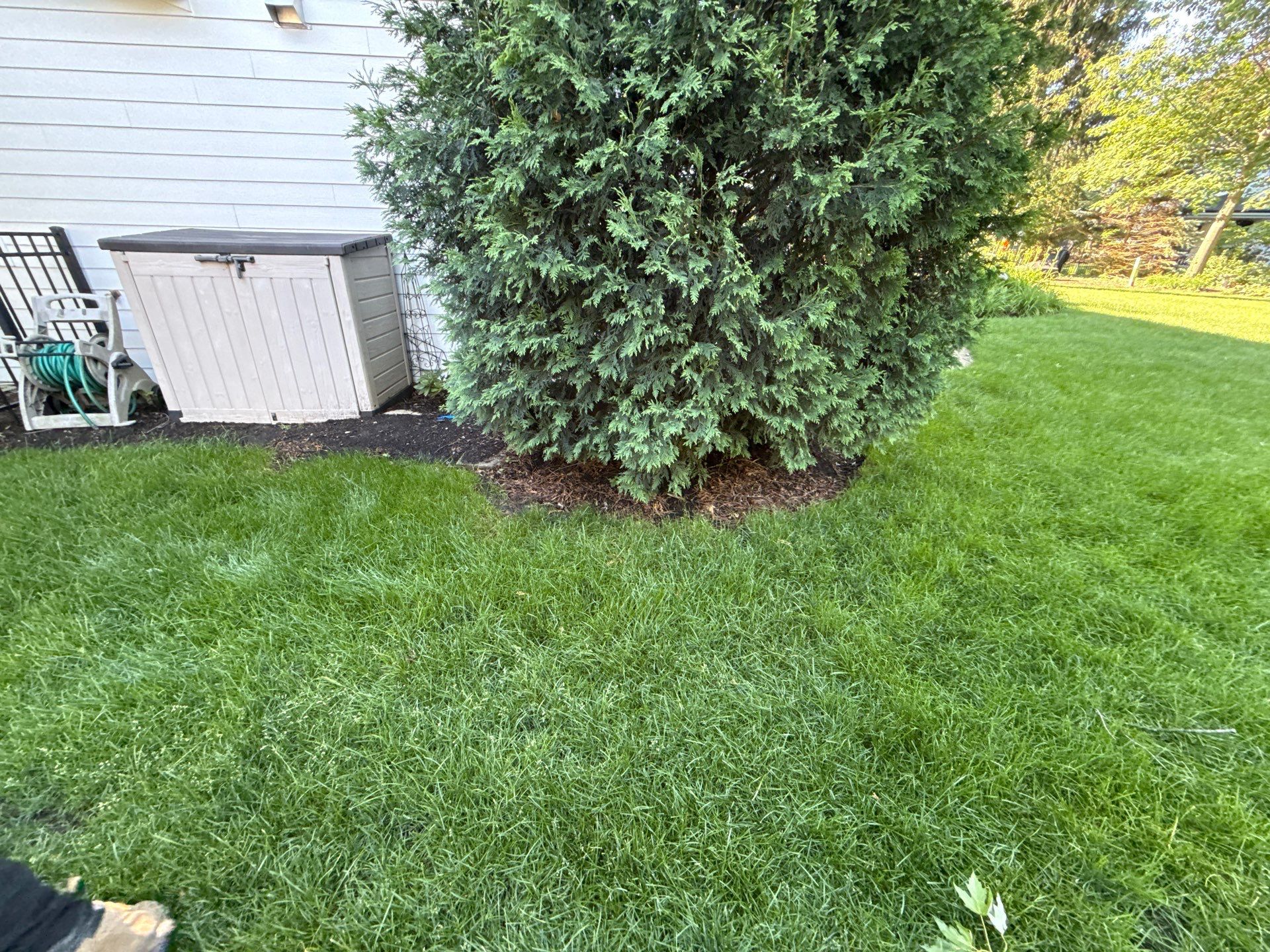 Lesley D. - Arlington Heights, IL by A&N 