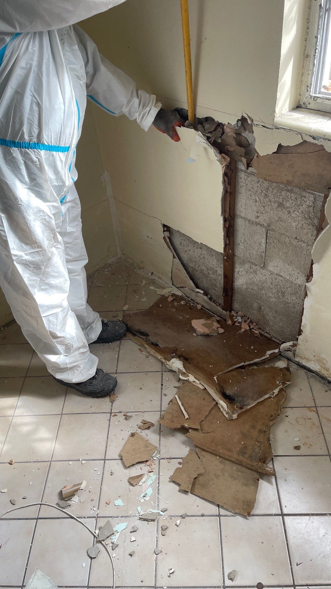Mold Remediation  by THE RAPID TEAM