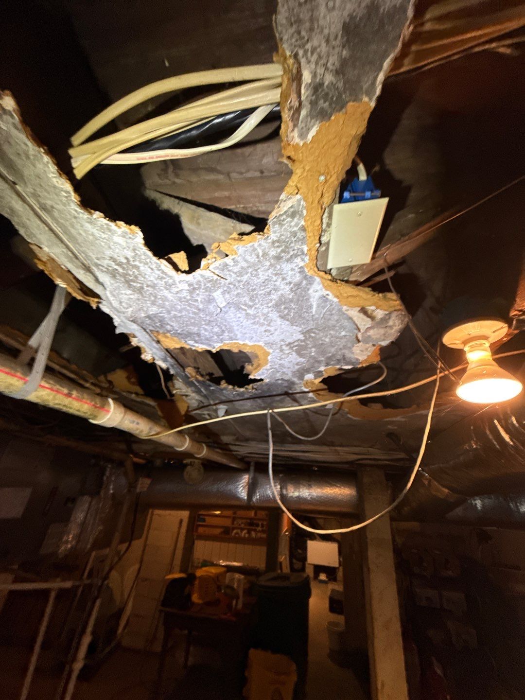 Rehoboth Beach VFW Indoor Air Restoration & Basement Mold Remediation by Healthy Home Solutions