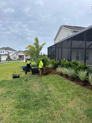 Residential | Sod Install