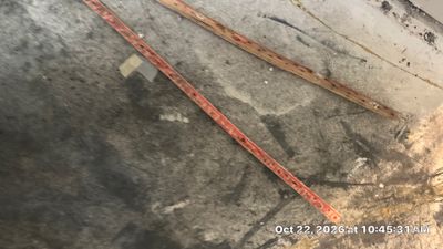 Mold Remediation — Bonita Springs, FL