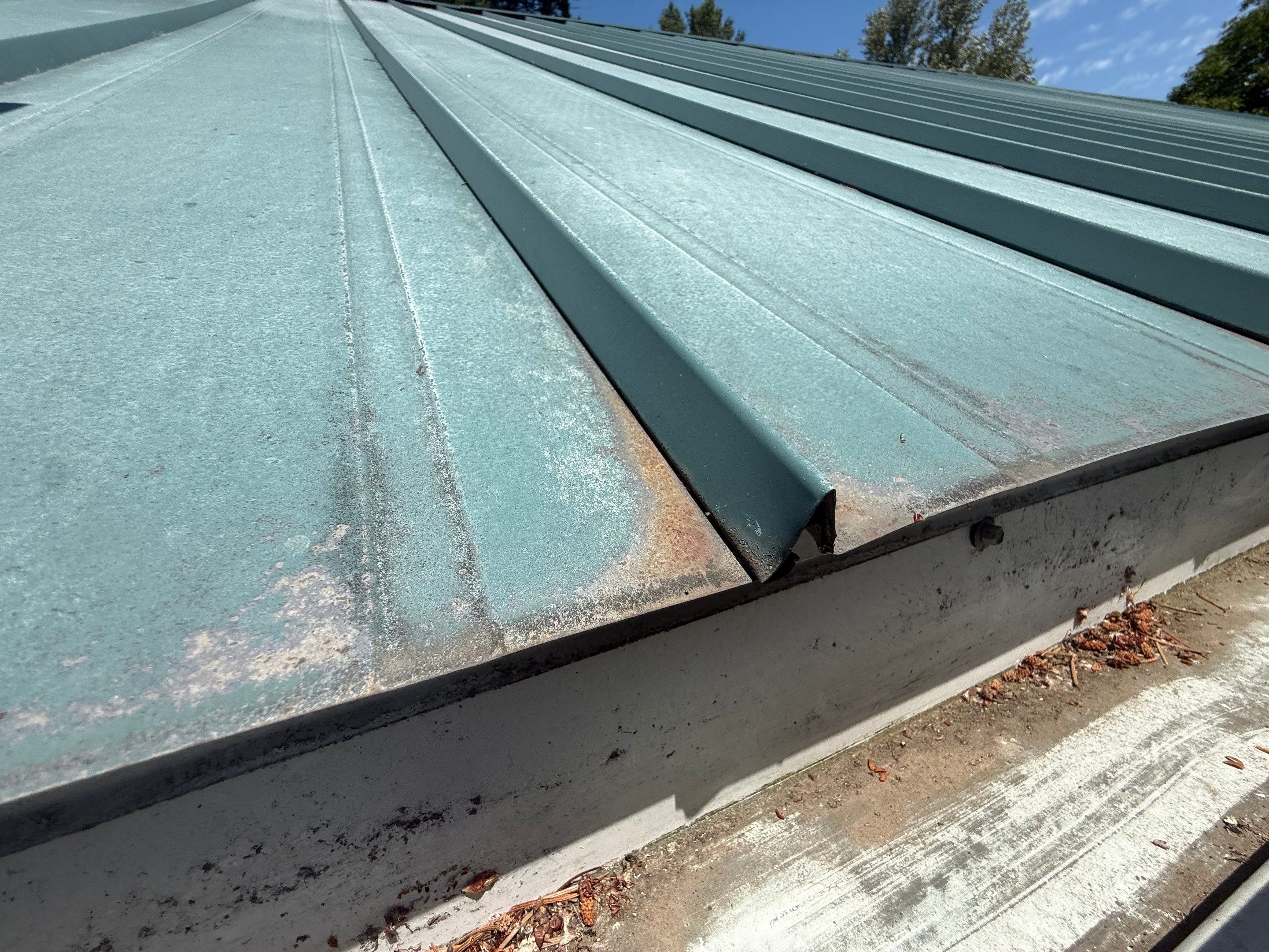 Log Cabin Metal Roof Repair and Skylight Maintenance in Springfield by BEST Roofing & Waterproofing