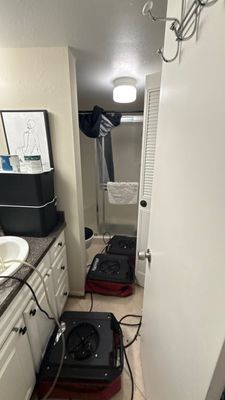 Black Mold Removal — Naples, FL
