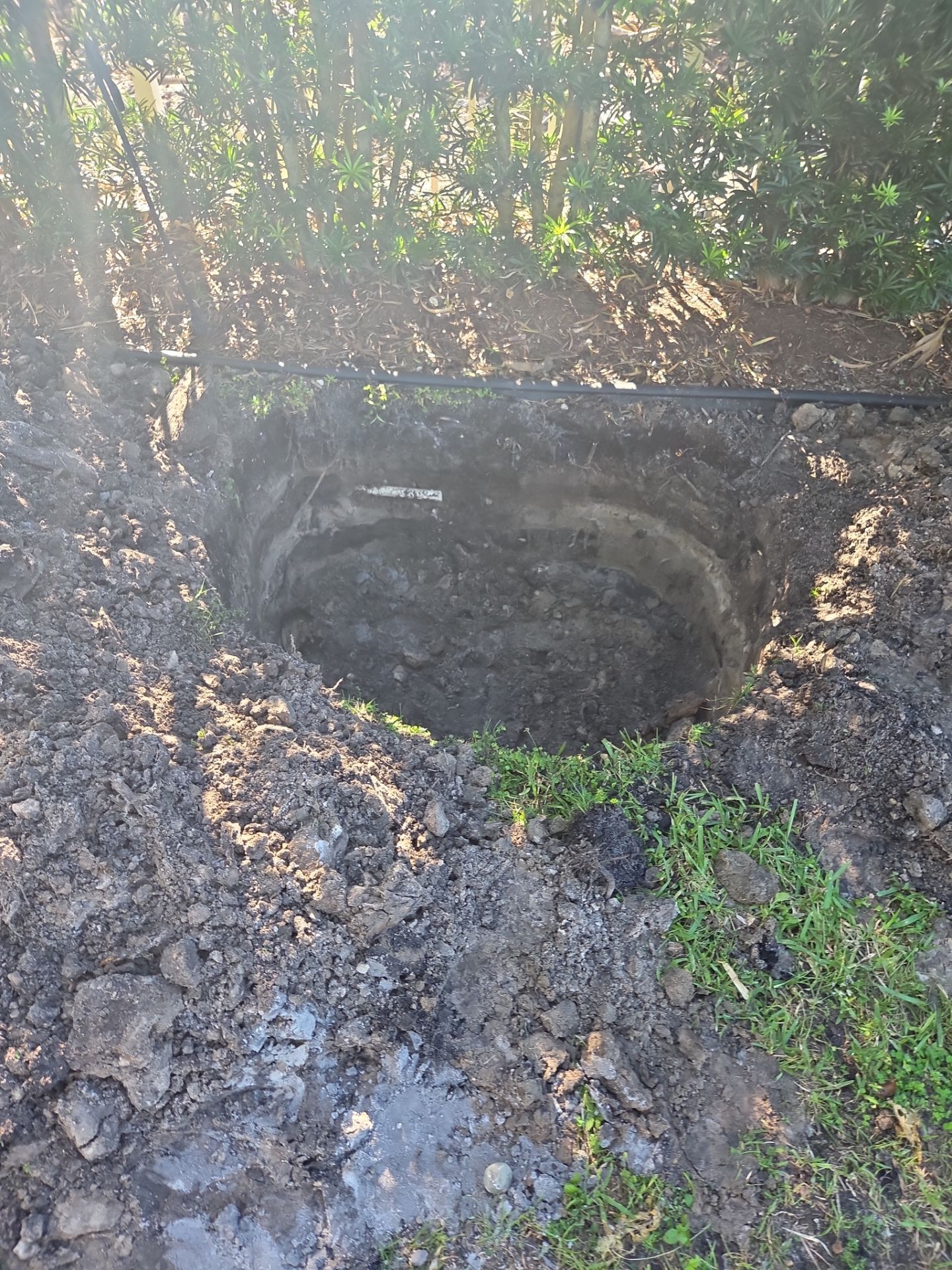 Hammock Creek Estate | Phase 1 – The Art of Precision Removal by Alpha Zeta Enterprises Inc