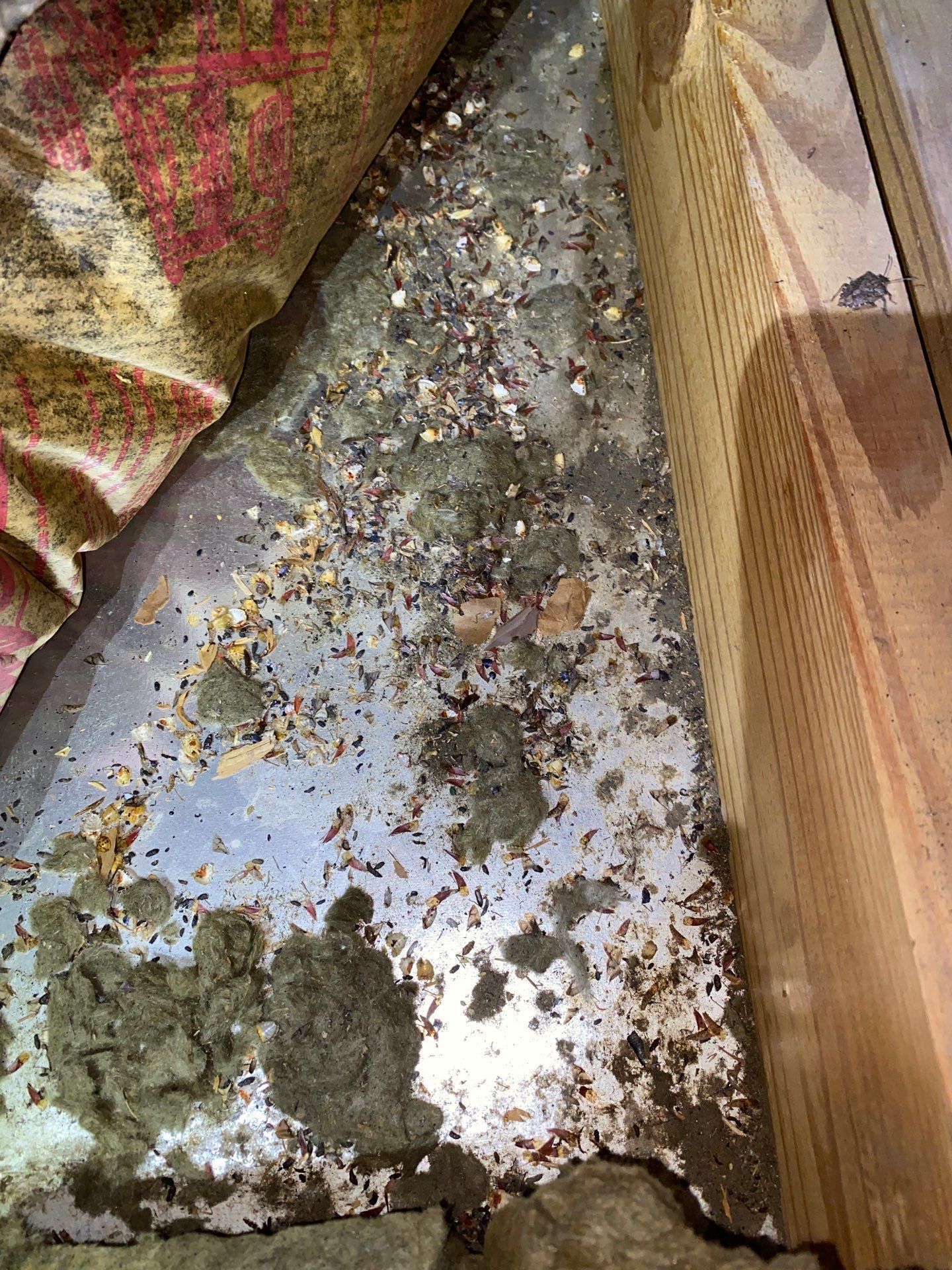 Attic Insulation in Moundsville WV Home by Home Environment Solutions