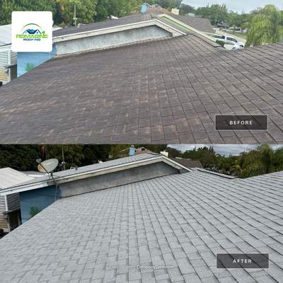 Silver Birch Shingles