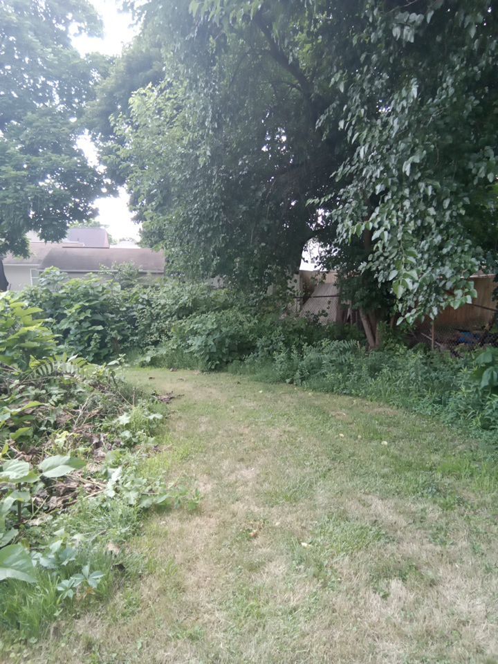 Tree Removal using Tree Removal by Mike Jones & Sons Tree Service LLC 