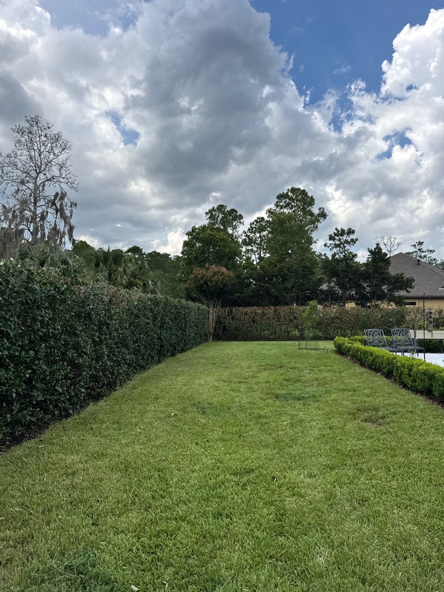 Deerwood Resident | Shrub Trimming by ProGreen Services