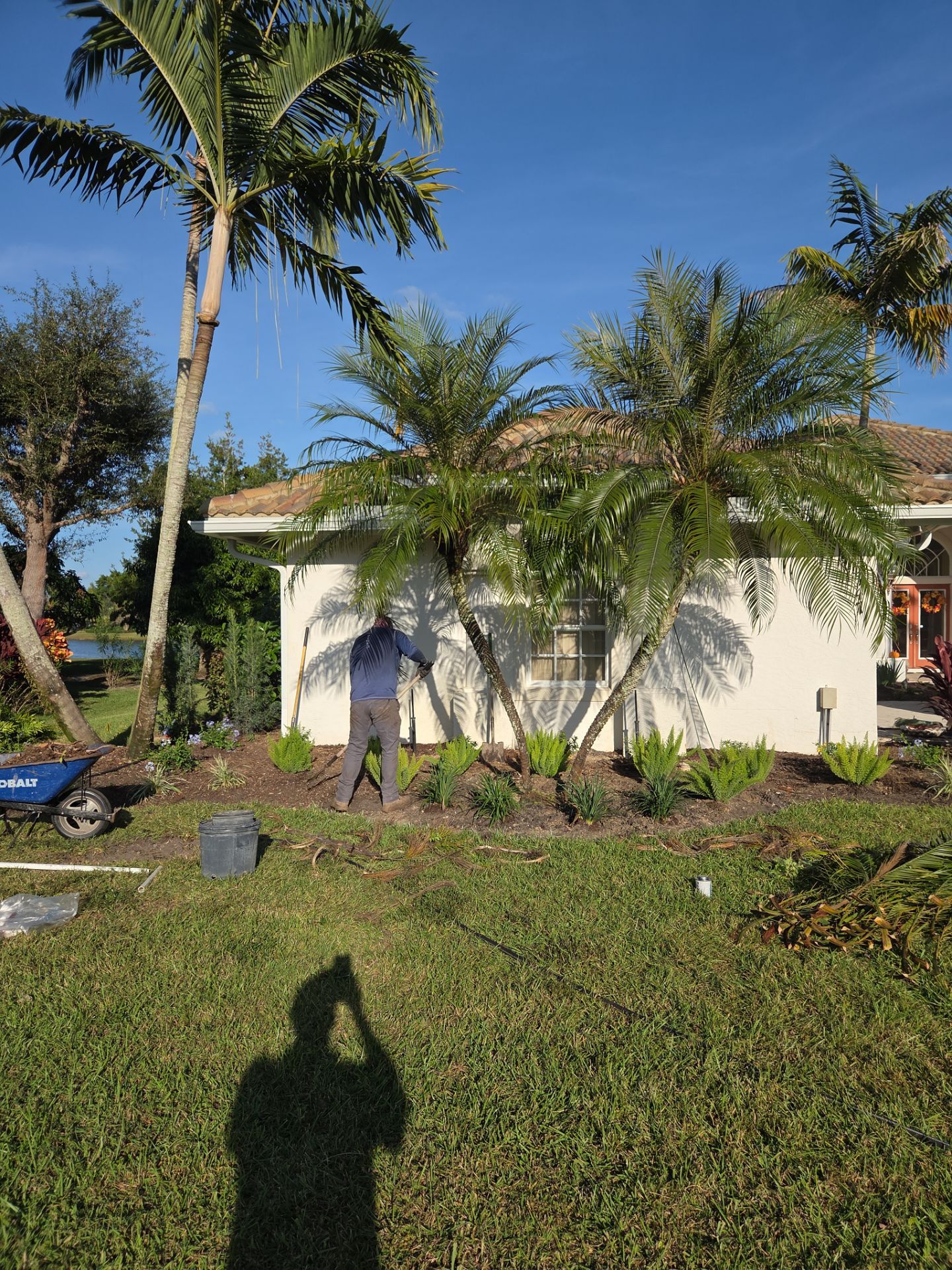 🌴 Landscape Removal and Install in Palm City by Alpha Zeta Enterprises Inc