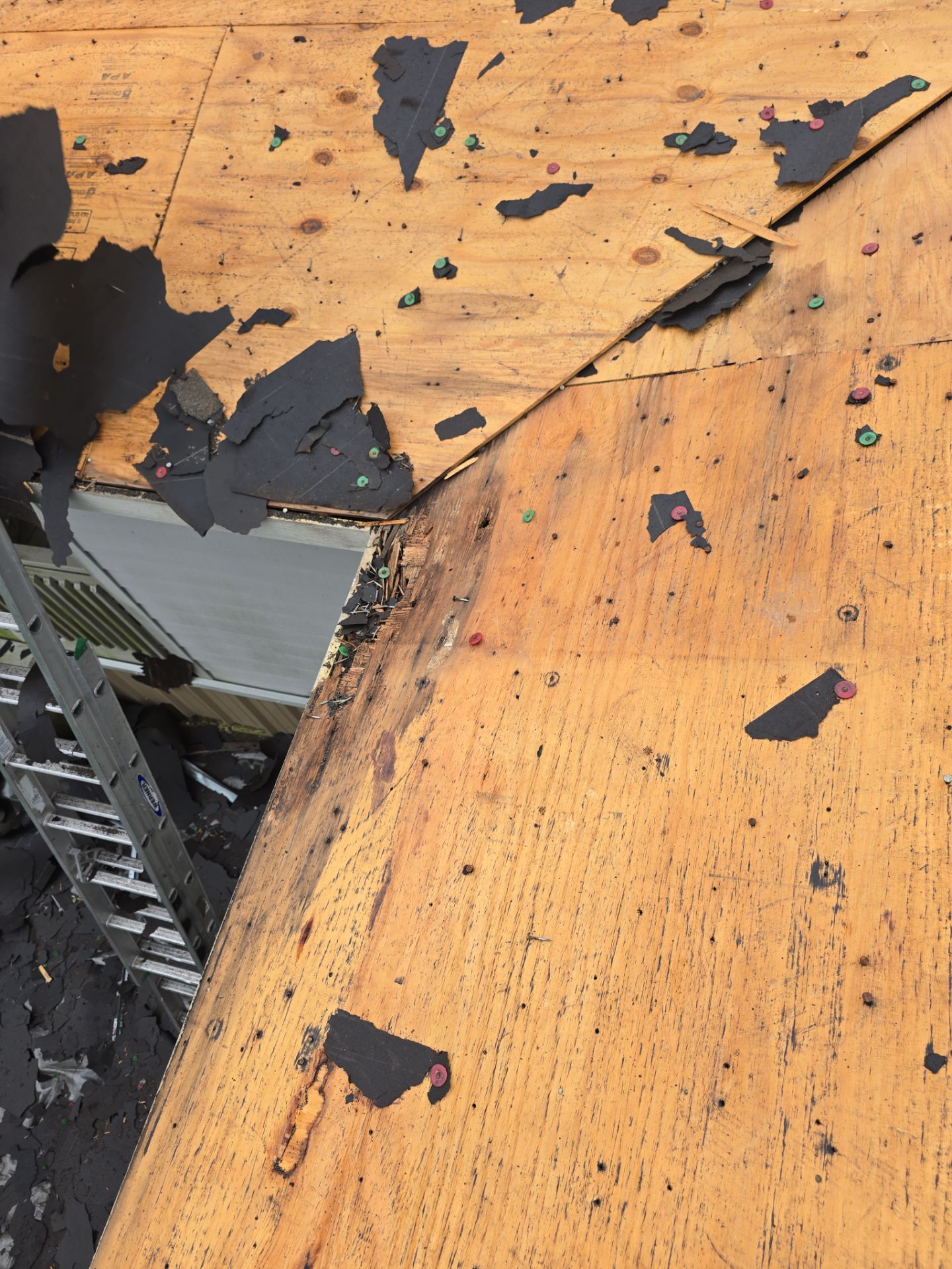 Roof Replacement Humble by Roof Repair Services LLC