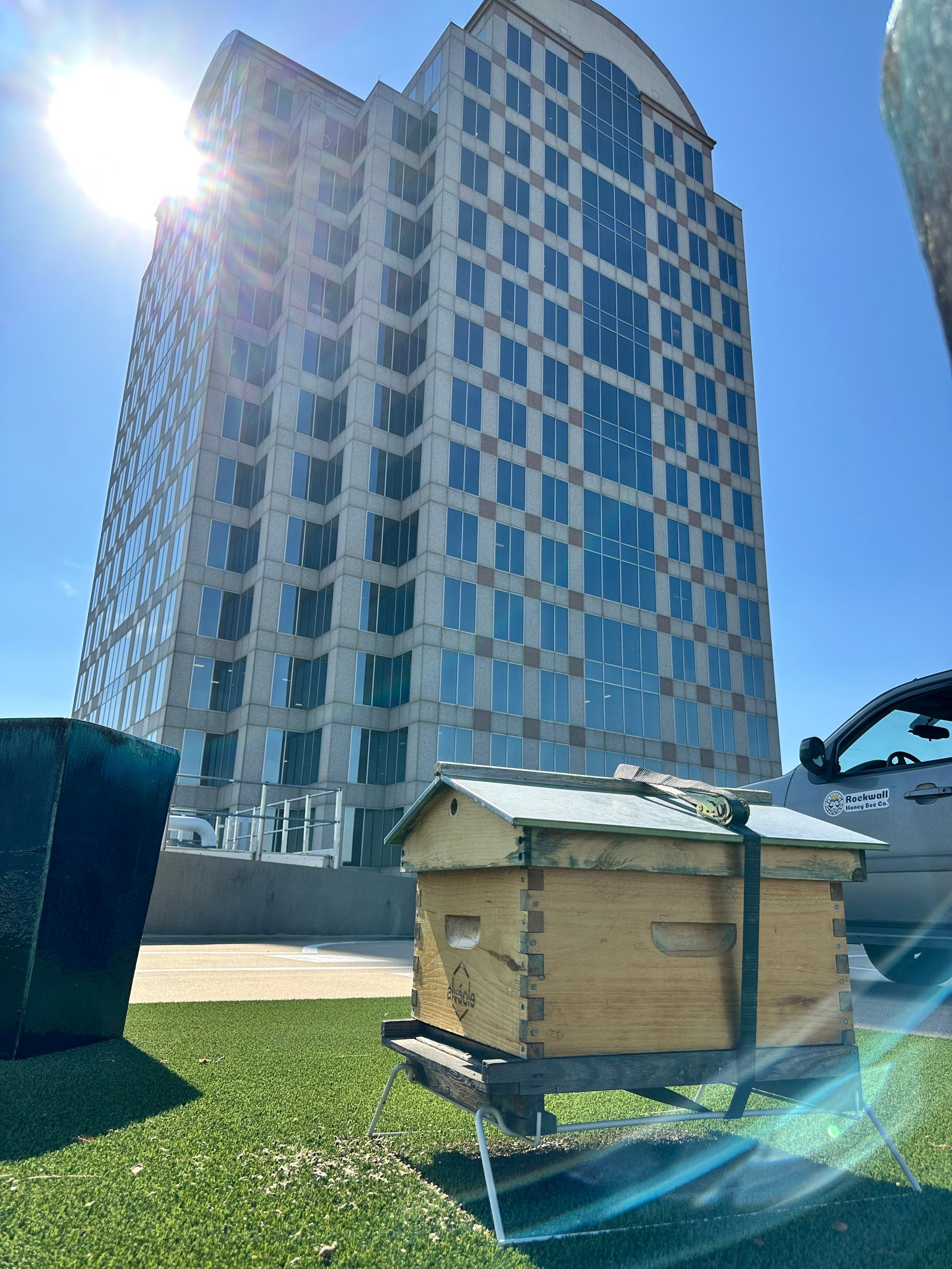 Rooftop Bees in Irving by Rockwall Honey Bee Company