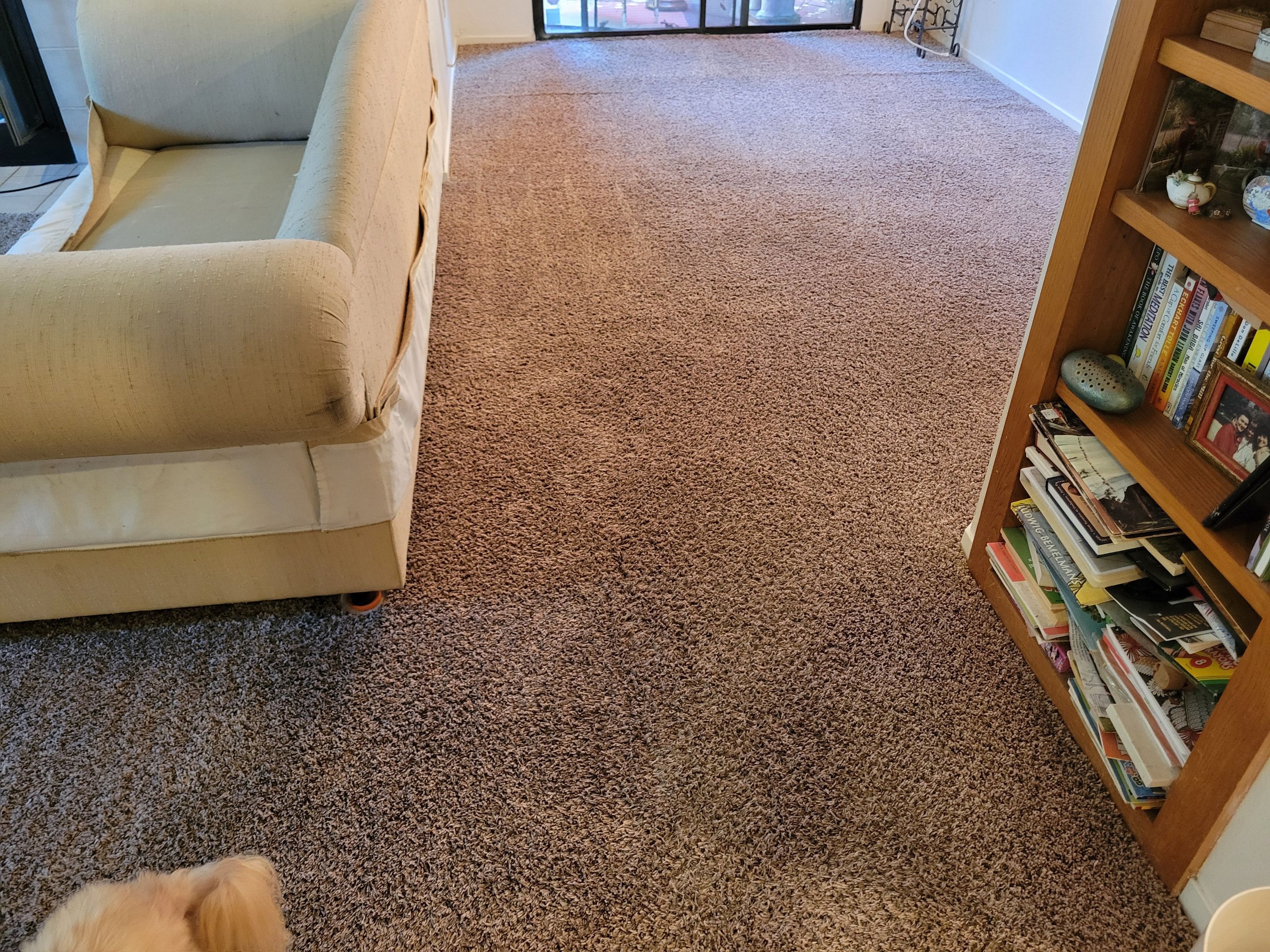 Post Water-Damage, Carpet Re-stretch & Clean by Ardent Carpet Restore LLC